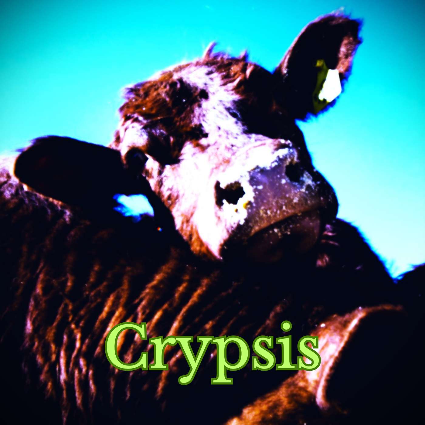 Crypsis