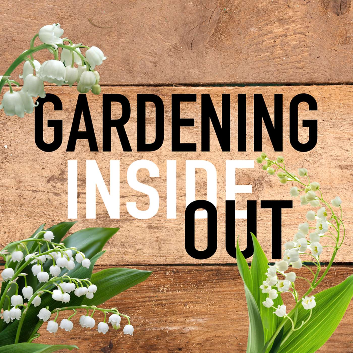 Ep. 135 | Lily of the Valley, Favorite native plants for pollinators, The Smoky Mountains | Feb 28