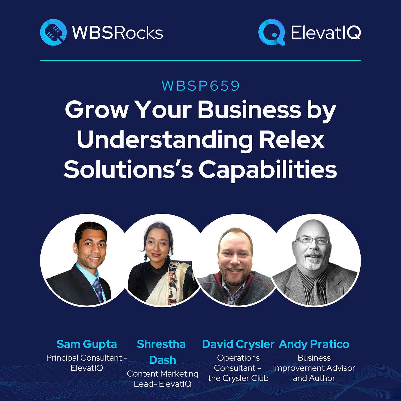 WBSP659: Grow Your Business by Understanding Relex Solutions’ Capabilities, an Objective Panel Discussion