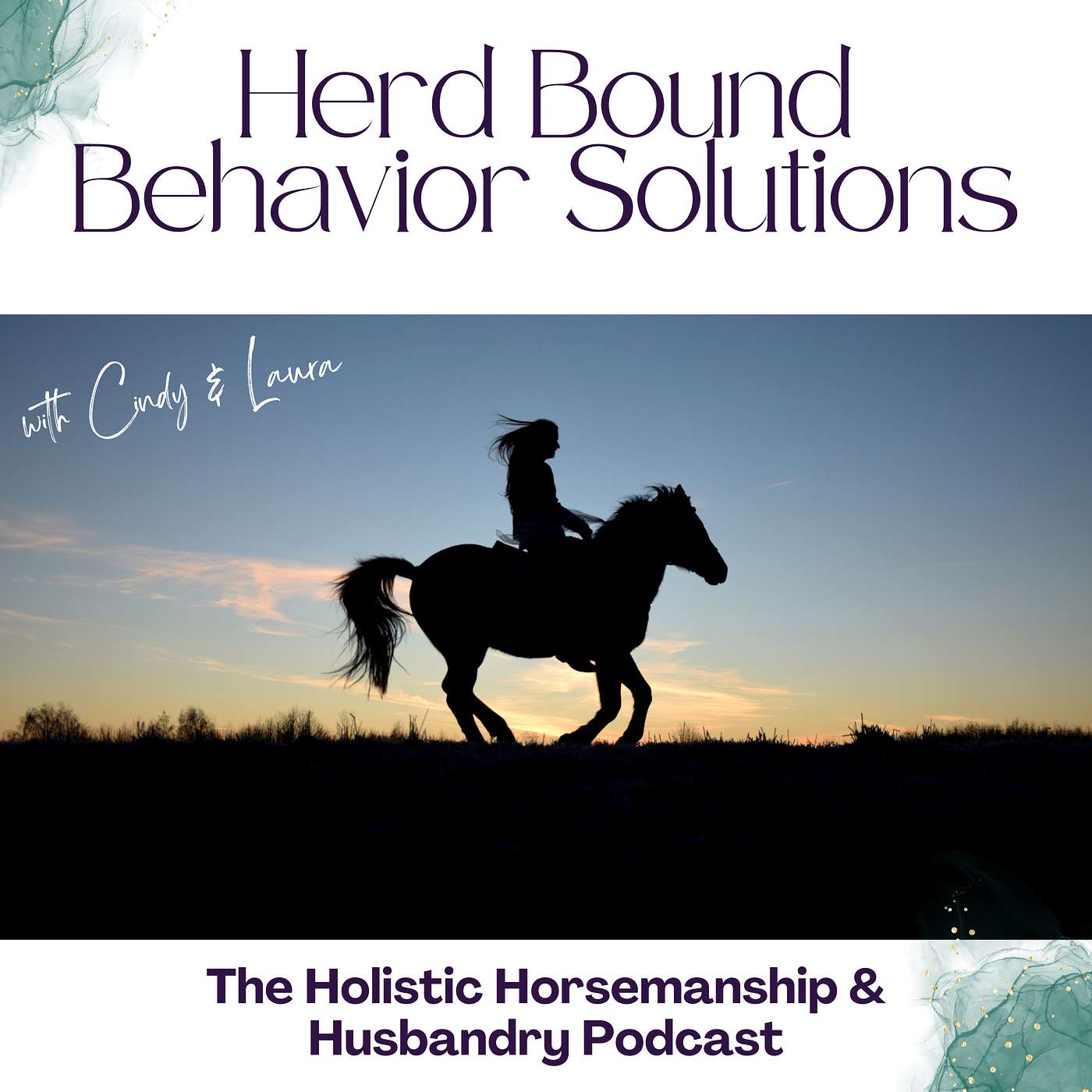 The Holistic Horsemanship and Husbandry Podcast