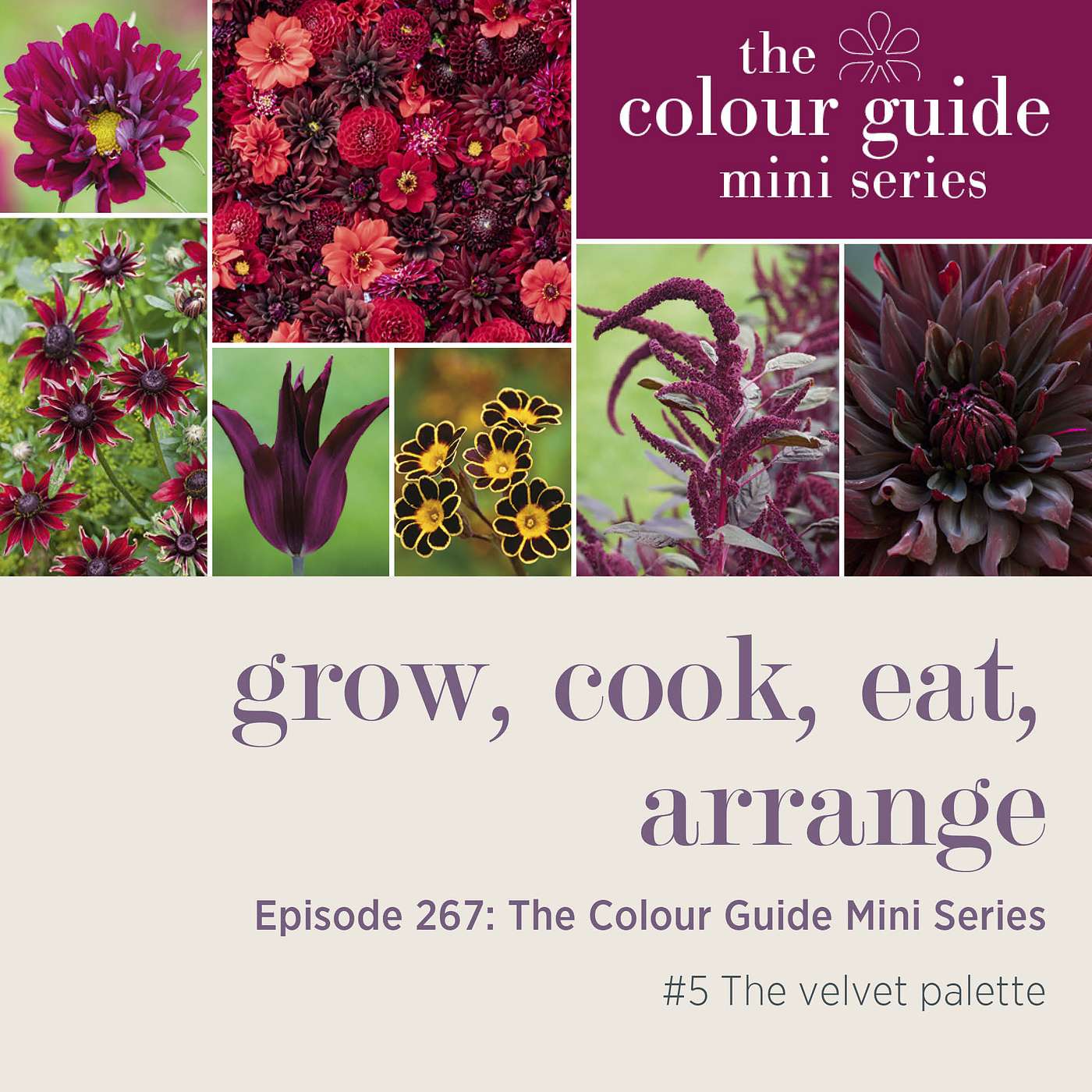The Colour Guide Mini Series #5: The velvet palette - Episode 267