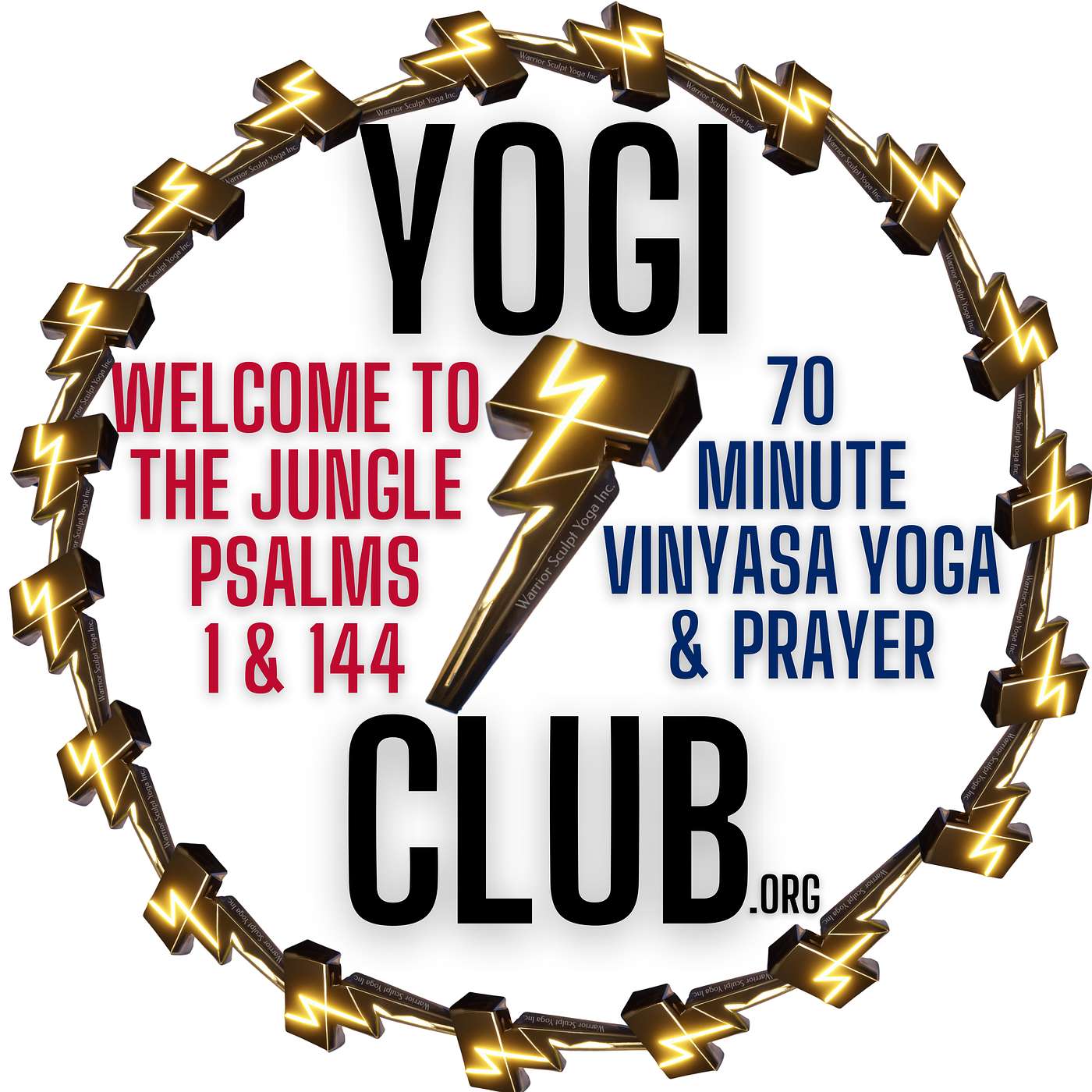 Maxflowyoga Inauguration Pledge Psalms 1 and 144, 70 minute Vinyasa Yoga