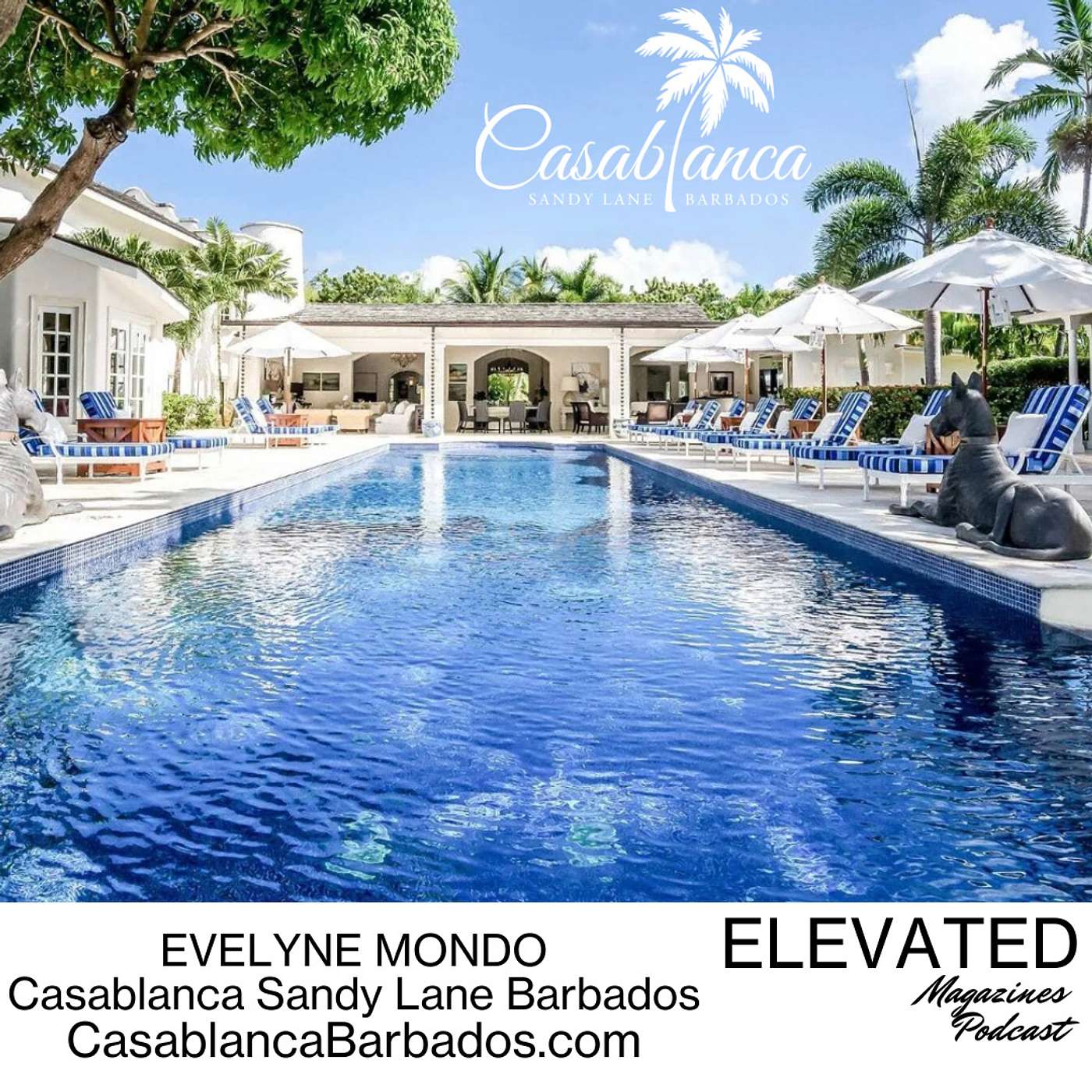 Evelyne Mondo - Casablanca Sandy Lane Barbados