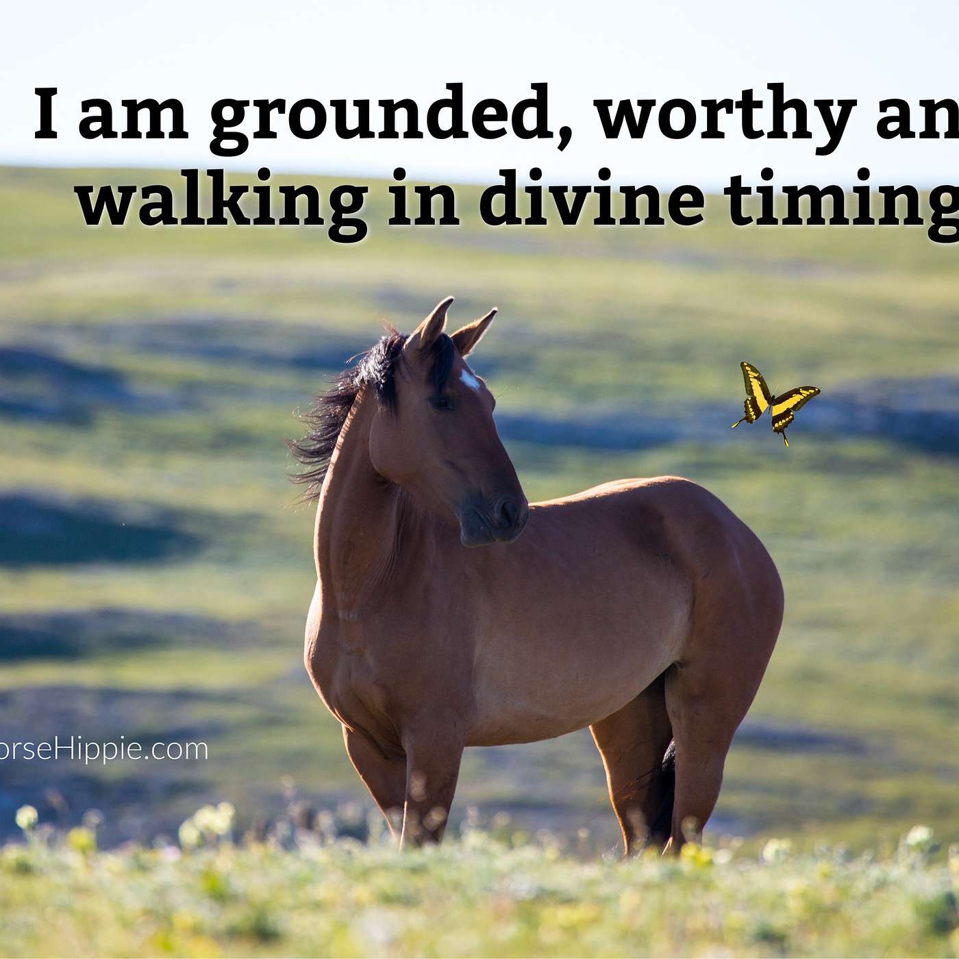 Attract Don’t Chase