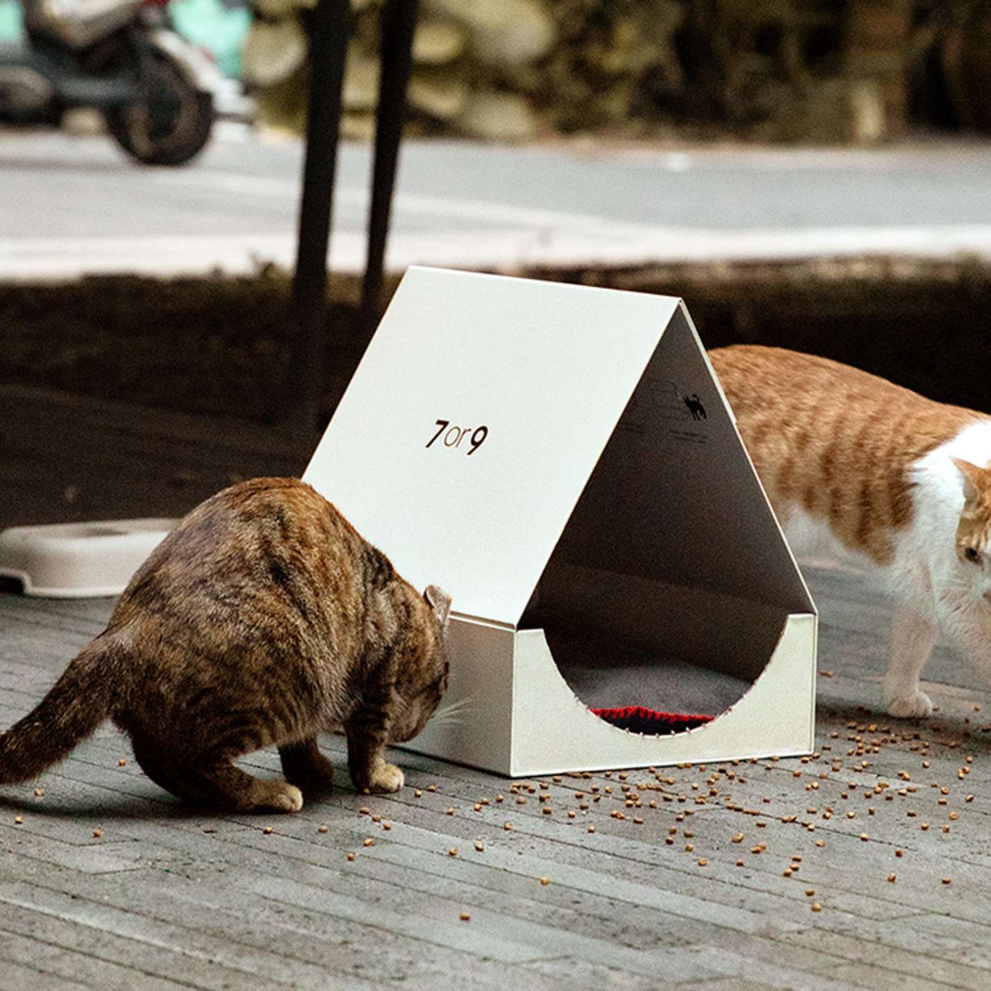 Transform Boot Boxes into Cozy Cat Homes with 7or9