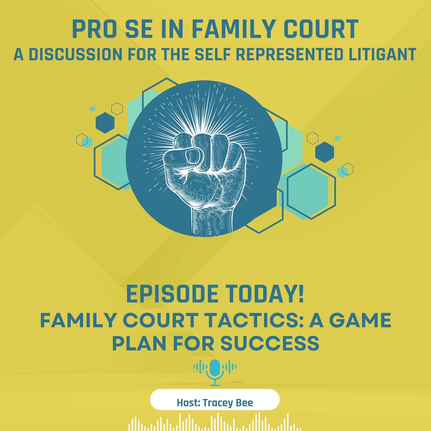 Episode 12:  Family Court Tactics: A Game Plan for Success episode artwork