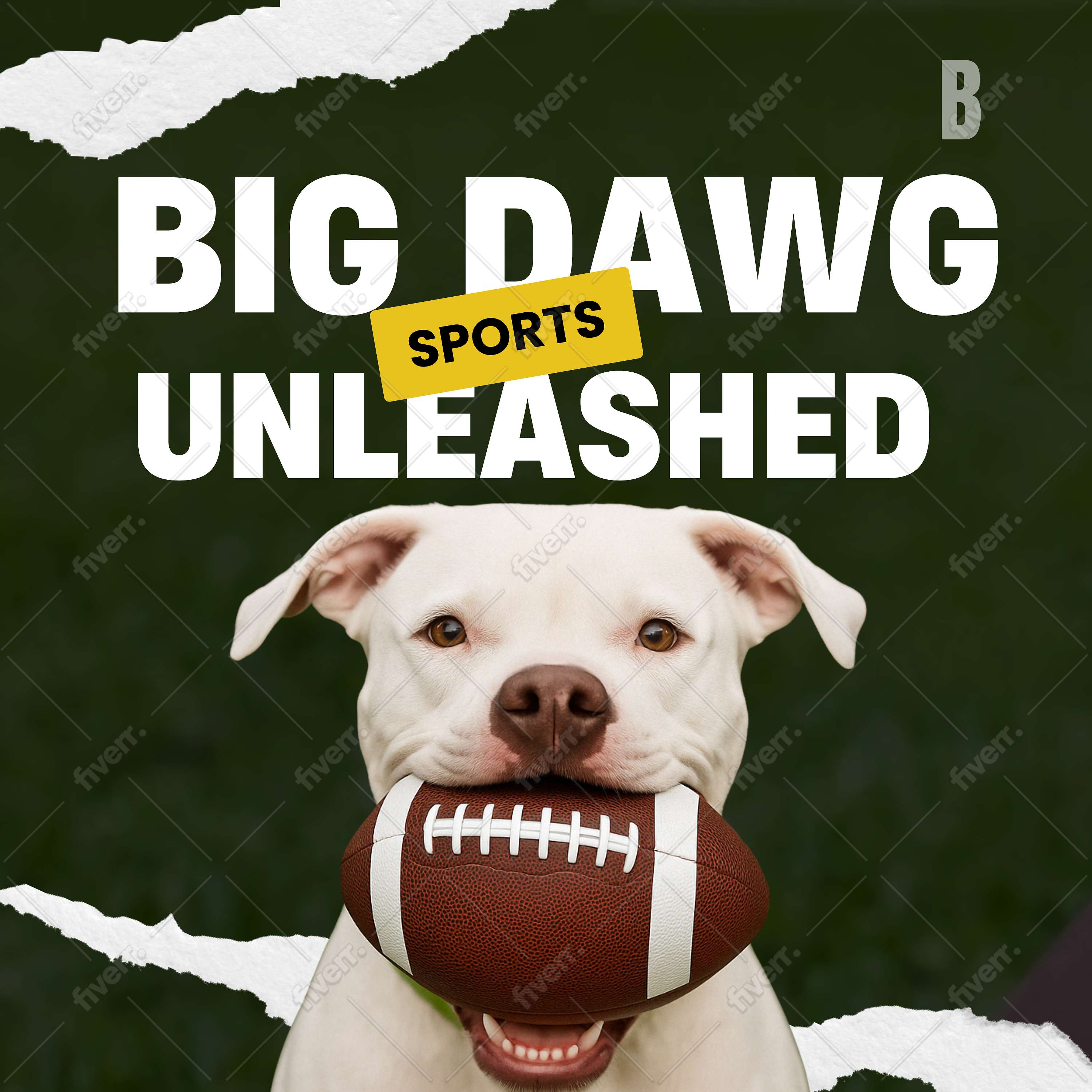 Big Dawg Sports Unleashed