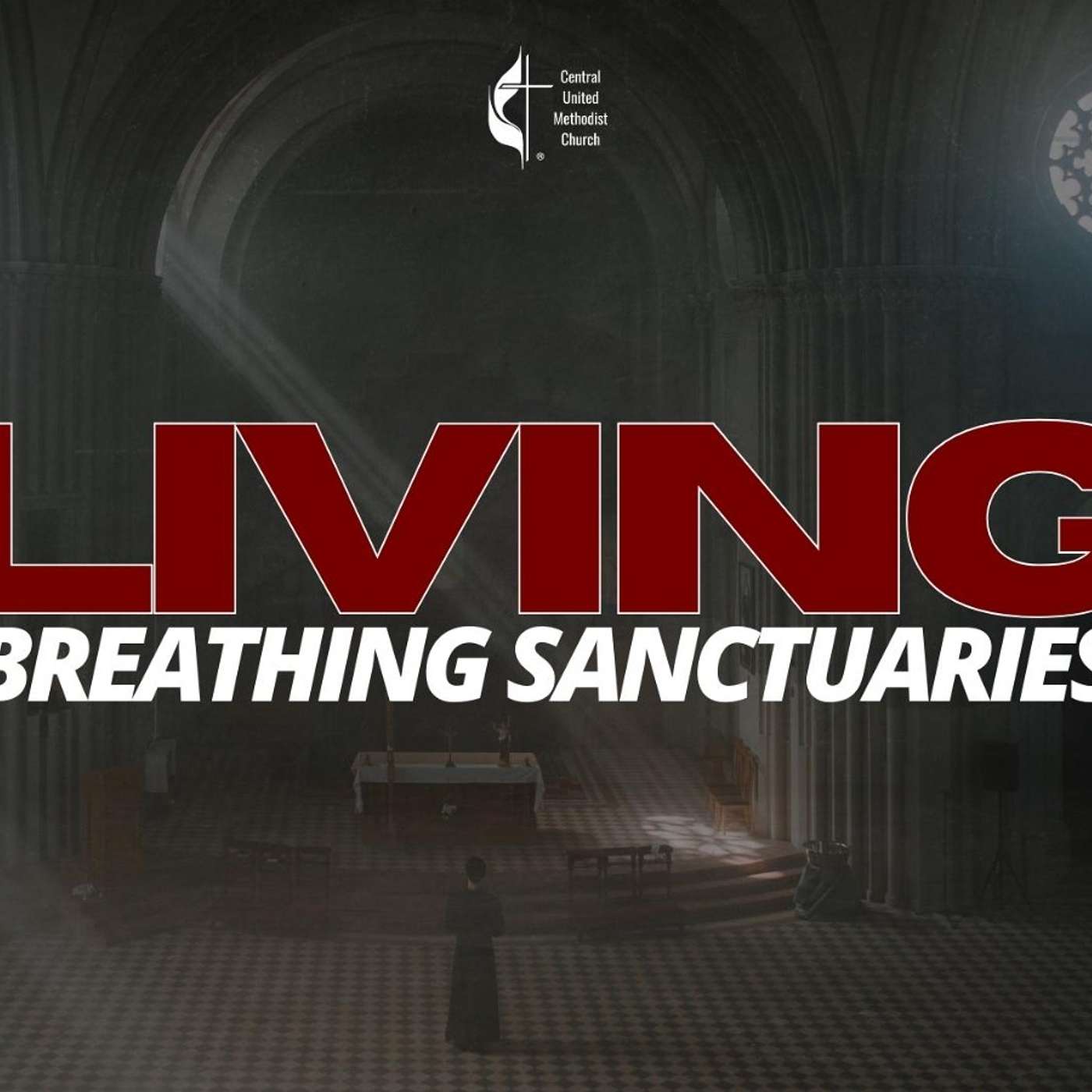 Central United Methodist Church (Arlington, Virginia) Sermon Podcast