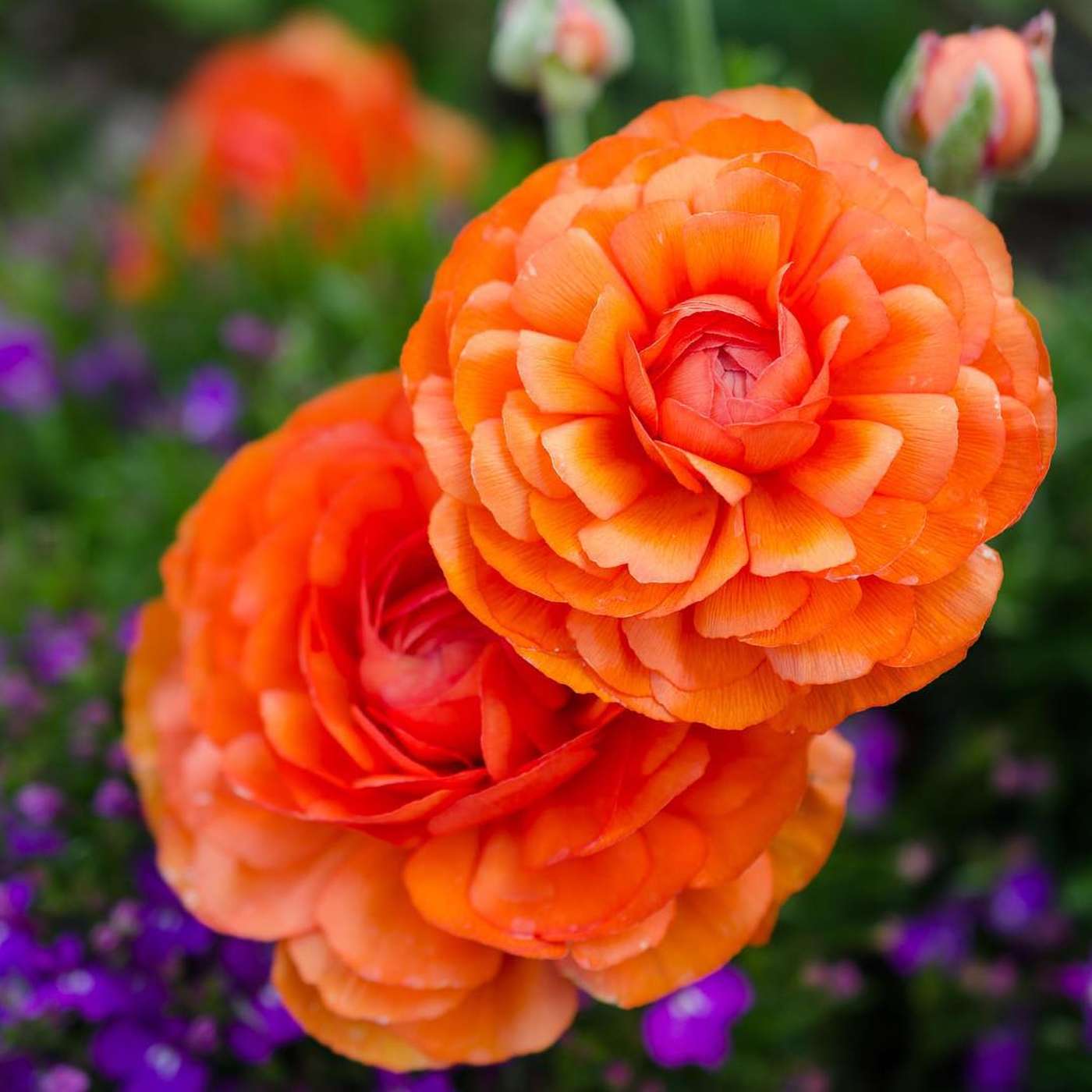 The Infinite Life: Consciousness Raising, Spiritual Transformation