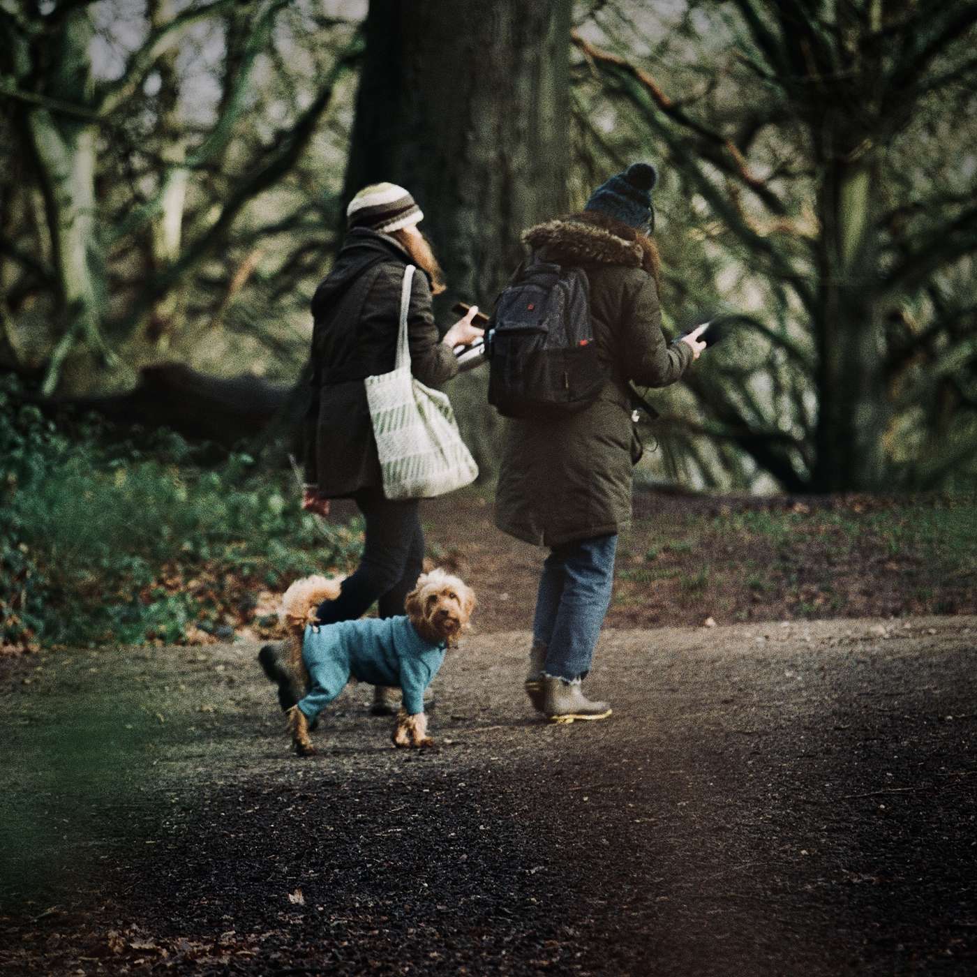 Park Creatures
