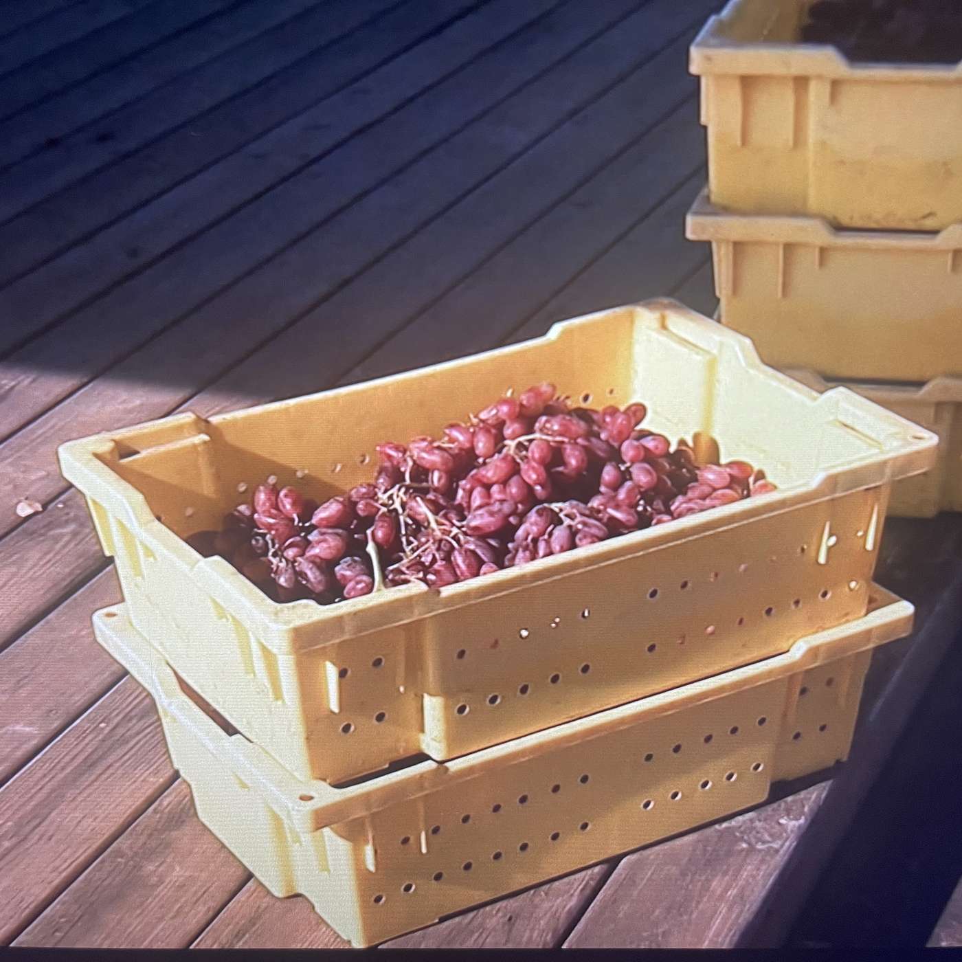 RHODC S1, E4: Debauched Cabernet episode artwork