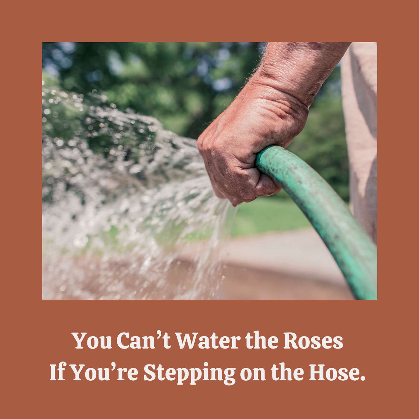 E162:  You Can’t Water the Roses If You’re Stepping on the Hose.