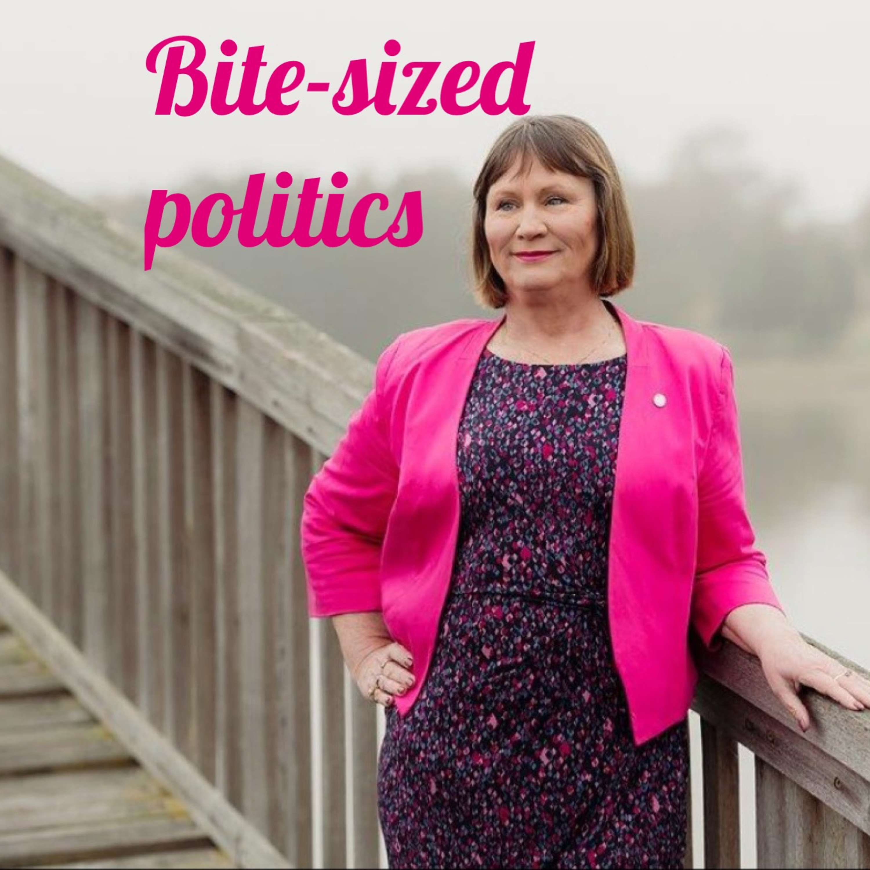 Bite-sized politics