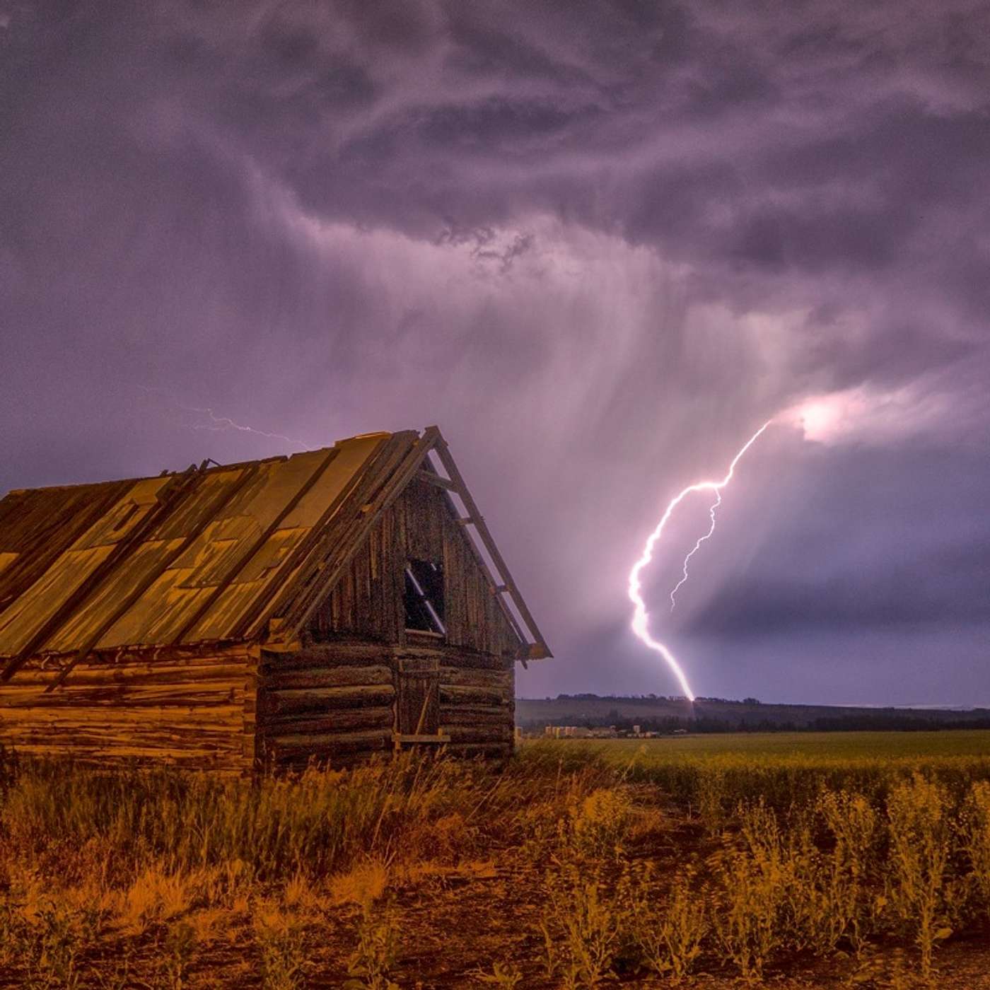 Episode 115: Dealing with drought and dry weather