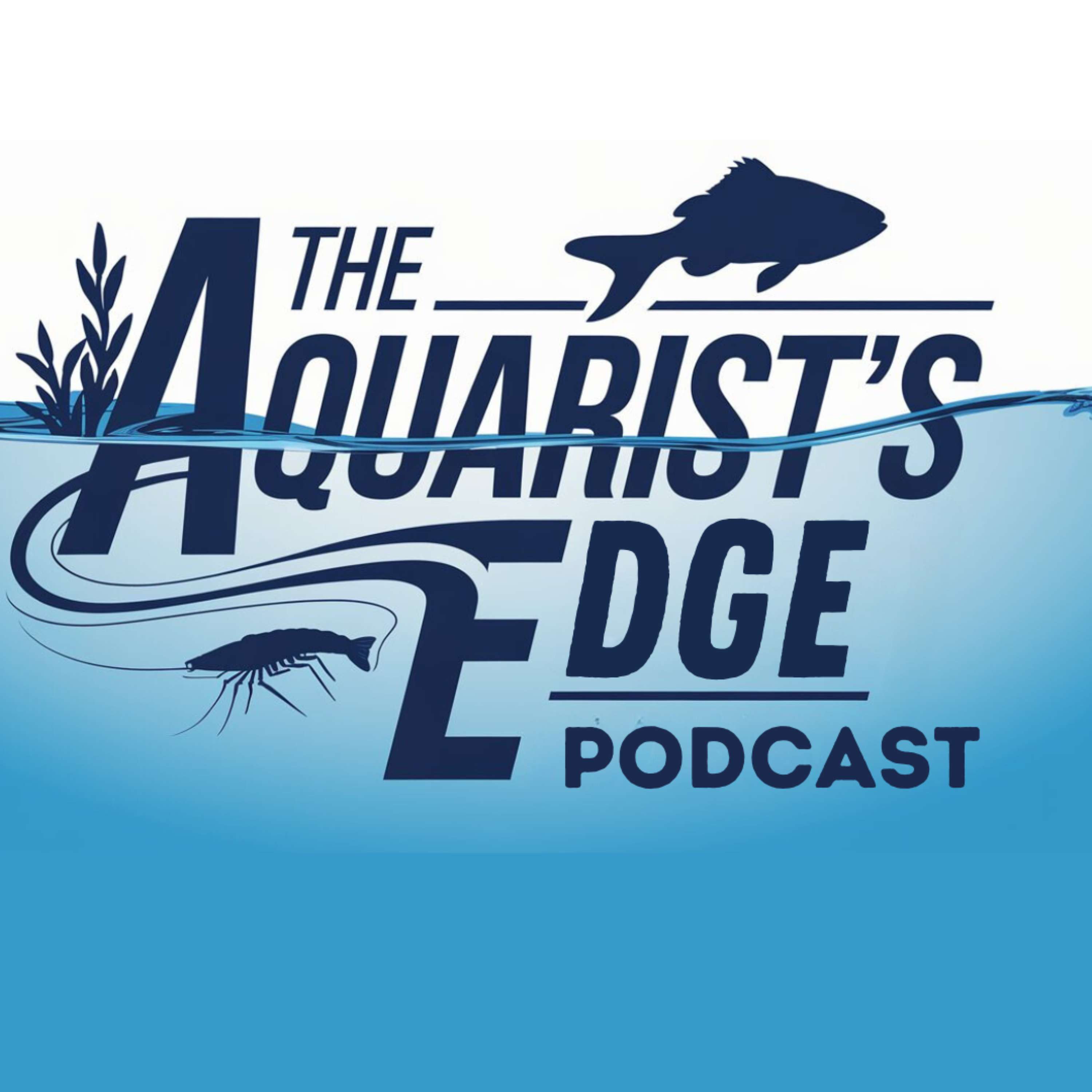 The Aquarist's Edge