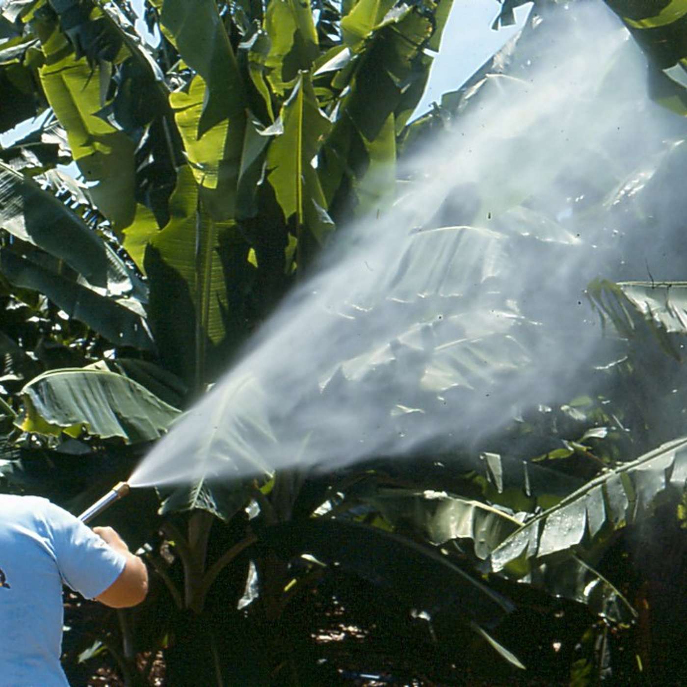 Santé, Science et Développement