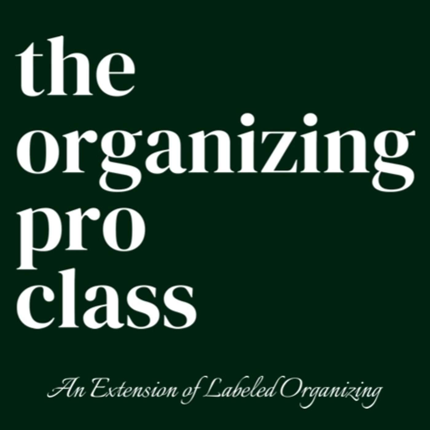The Organizing Pro Class