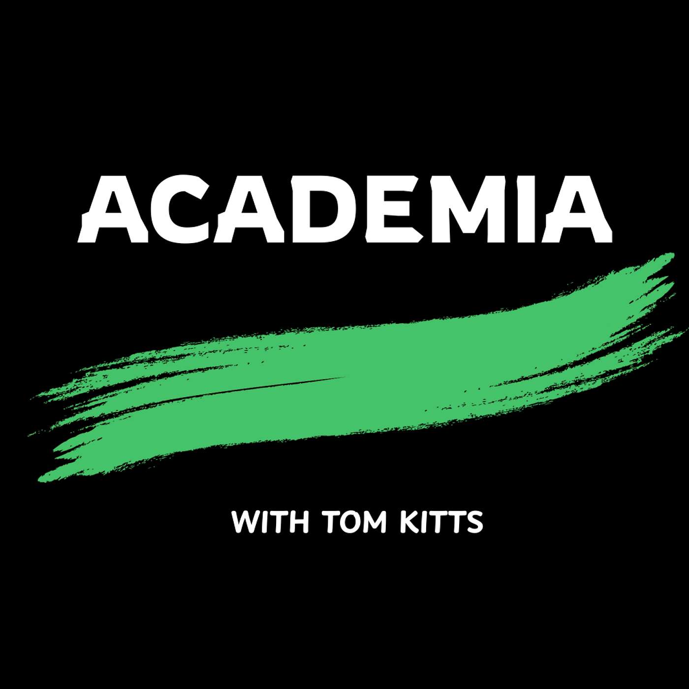 Academic Career: Insights from a Professor of Literature and Music