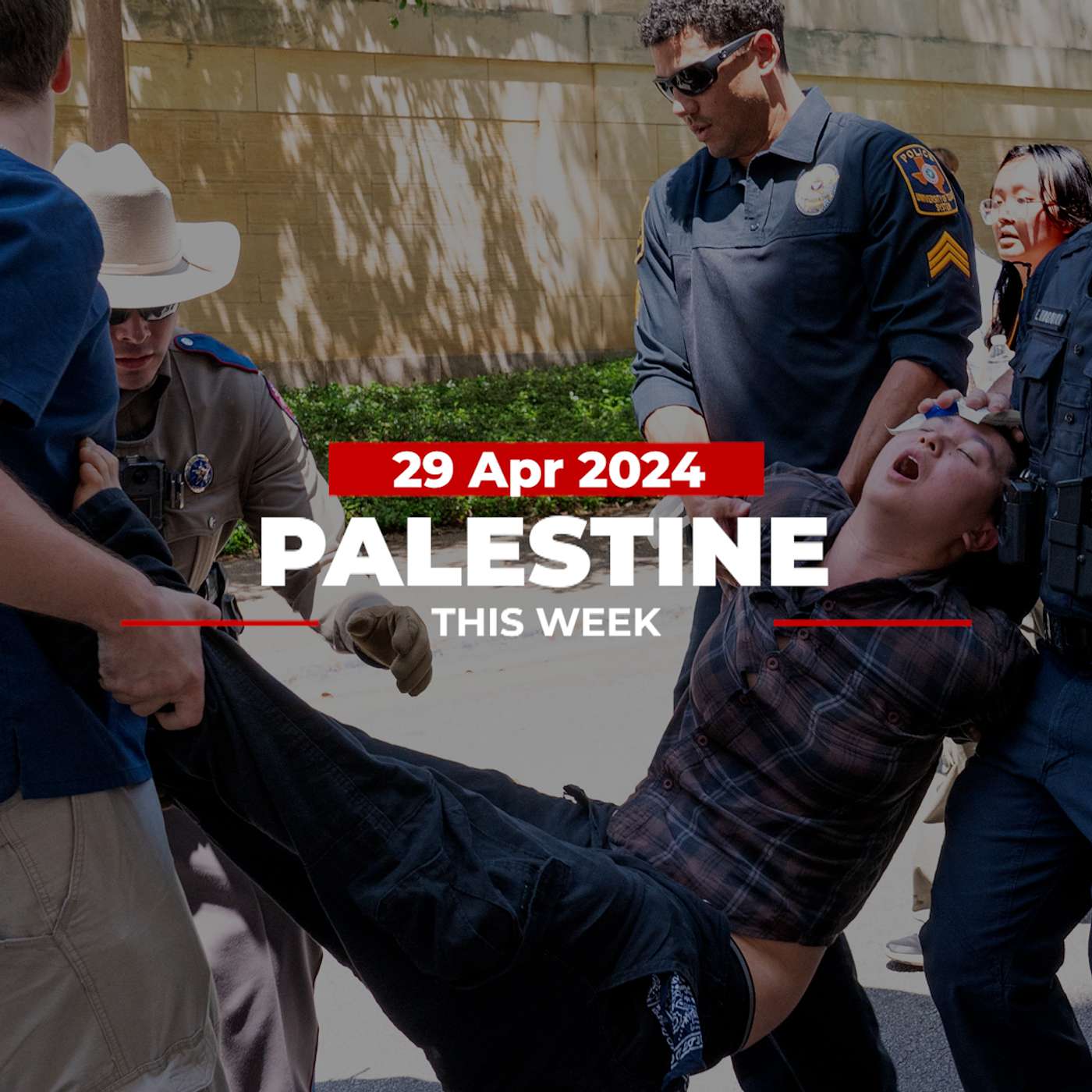Palestine This Week