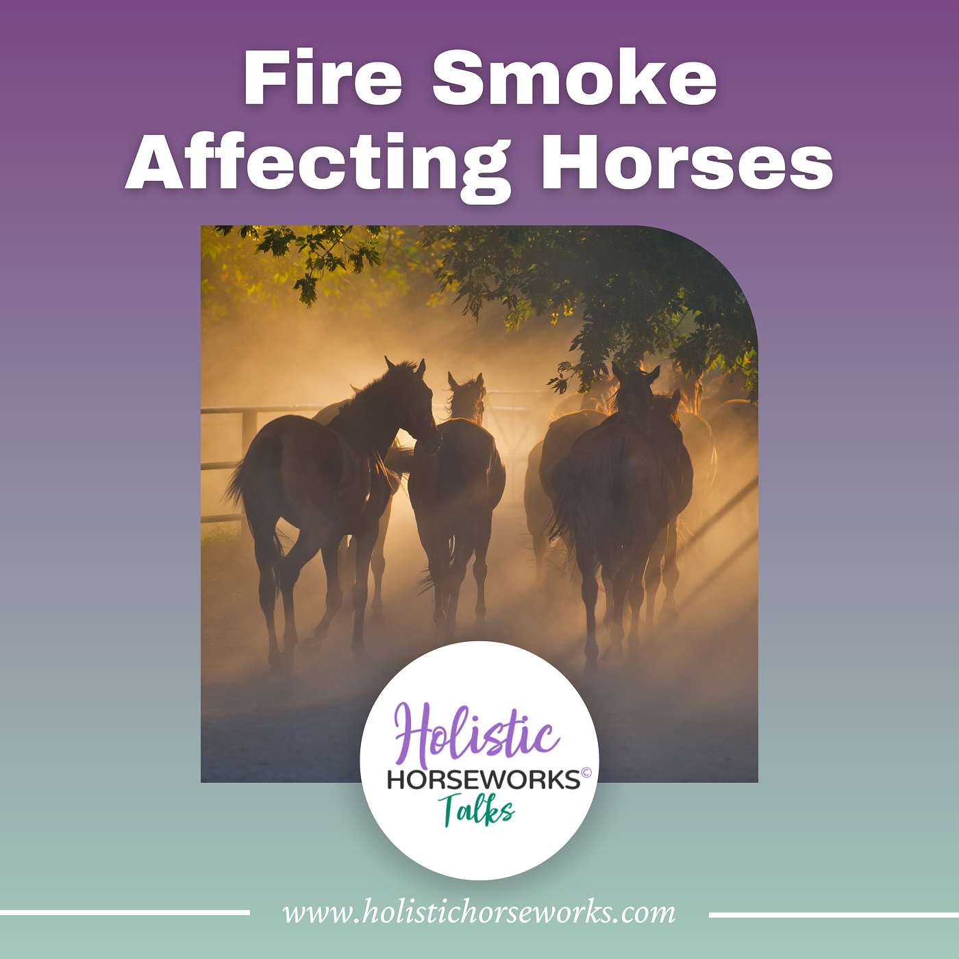 Holistic Horseworks Talks with April Love - Fire Smoke Affecting Horses