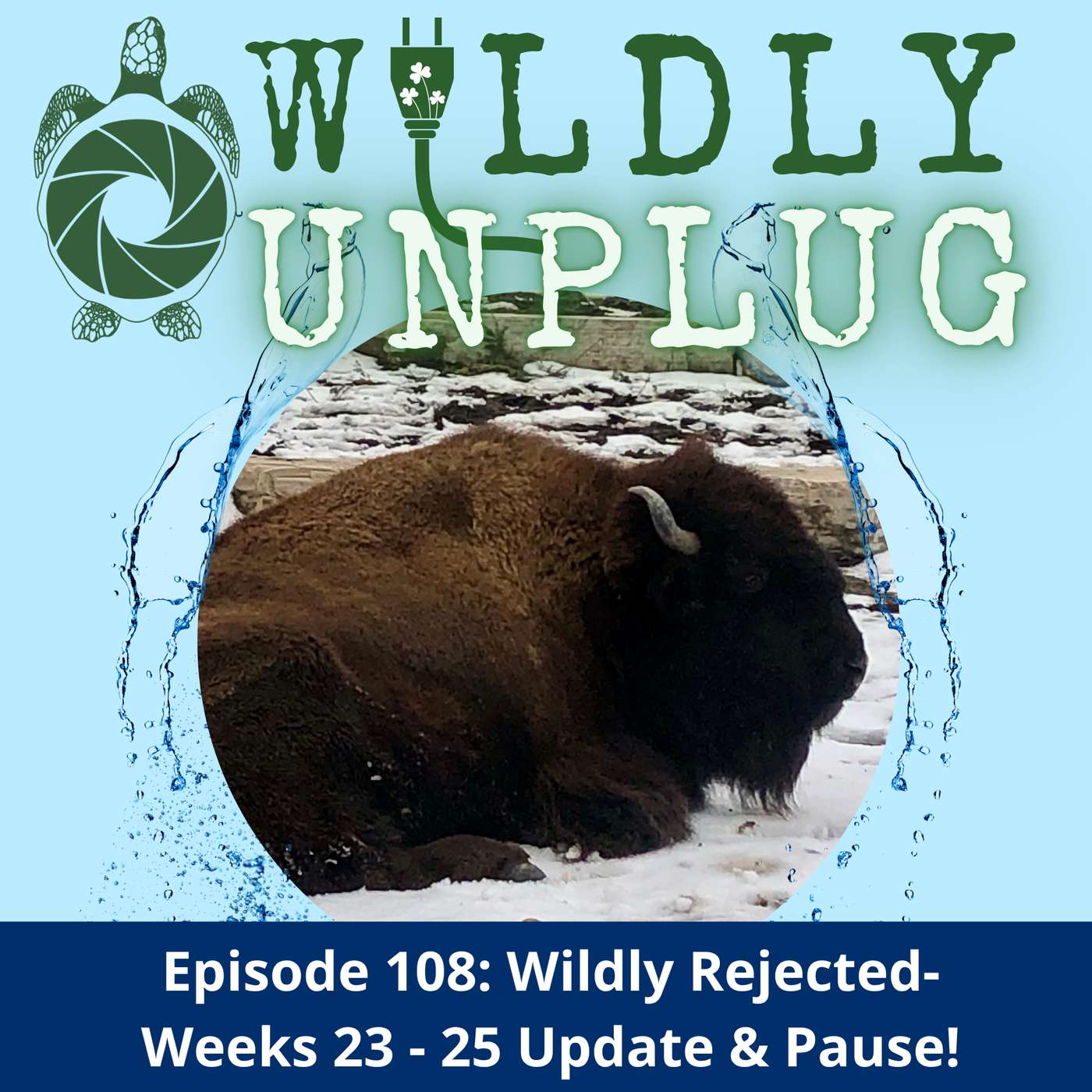 Wildly Rejected: Weeks 23-25 Updates & a Pause
