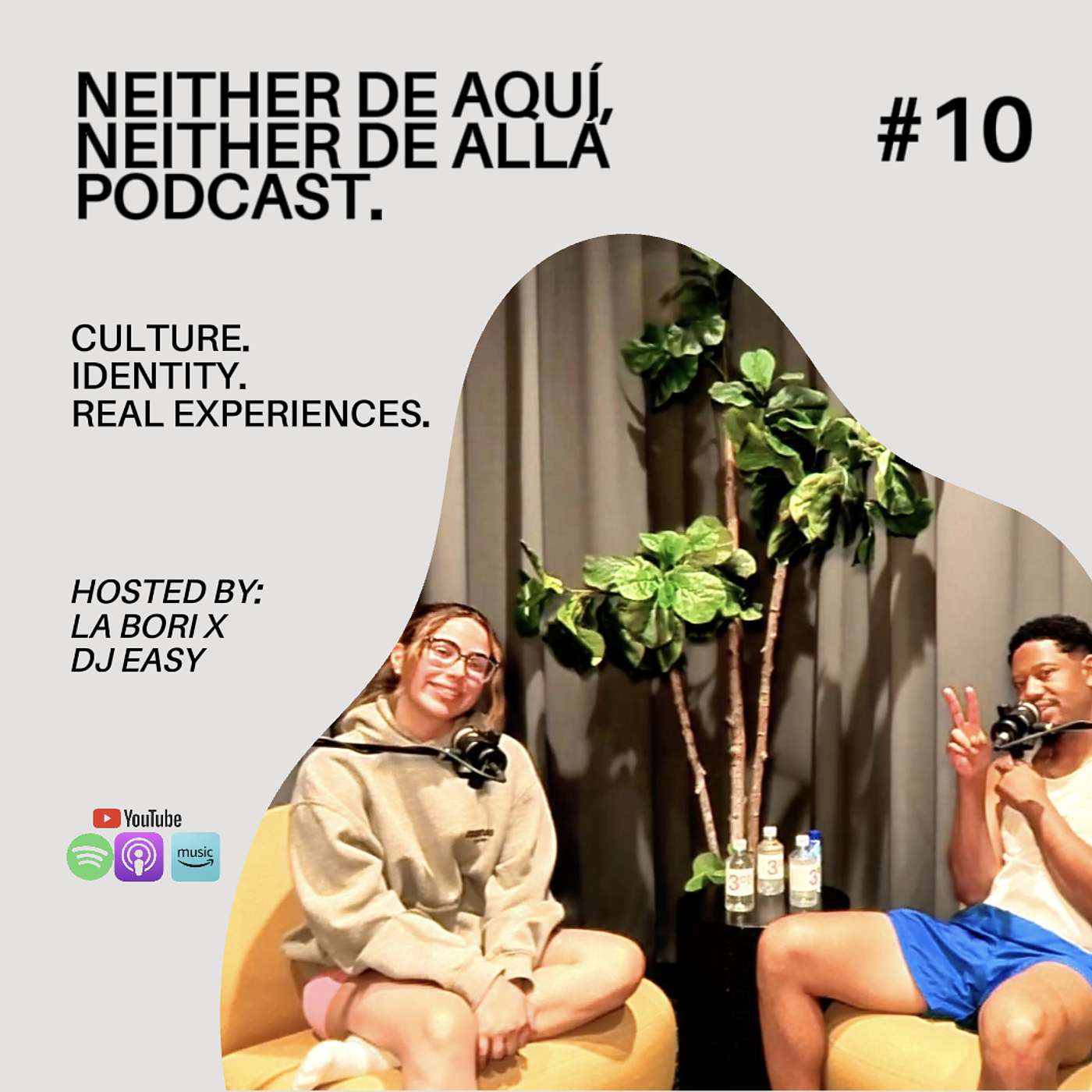 SEASON 1 RECAP | WOULD YOU DATE YOURSELF | NIGHTLIFE | SUMMER PLANS | NEITHER DE POD EP. 10 episode artwork