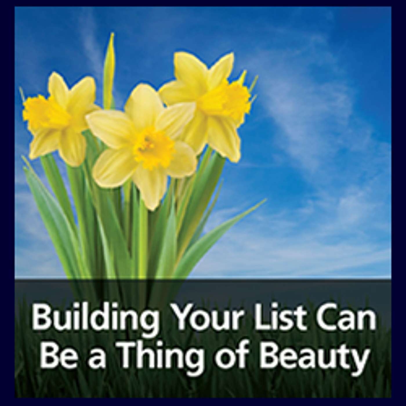 How To Build Your List! (The Grow Your Business Show)