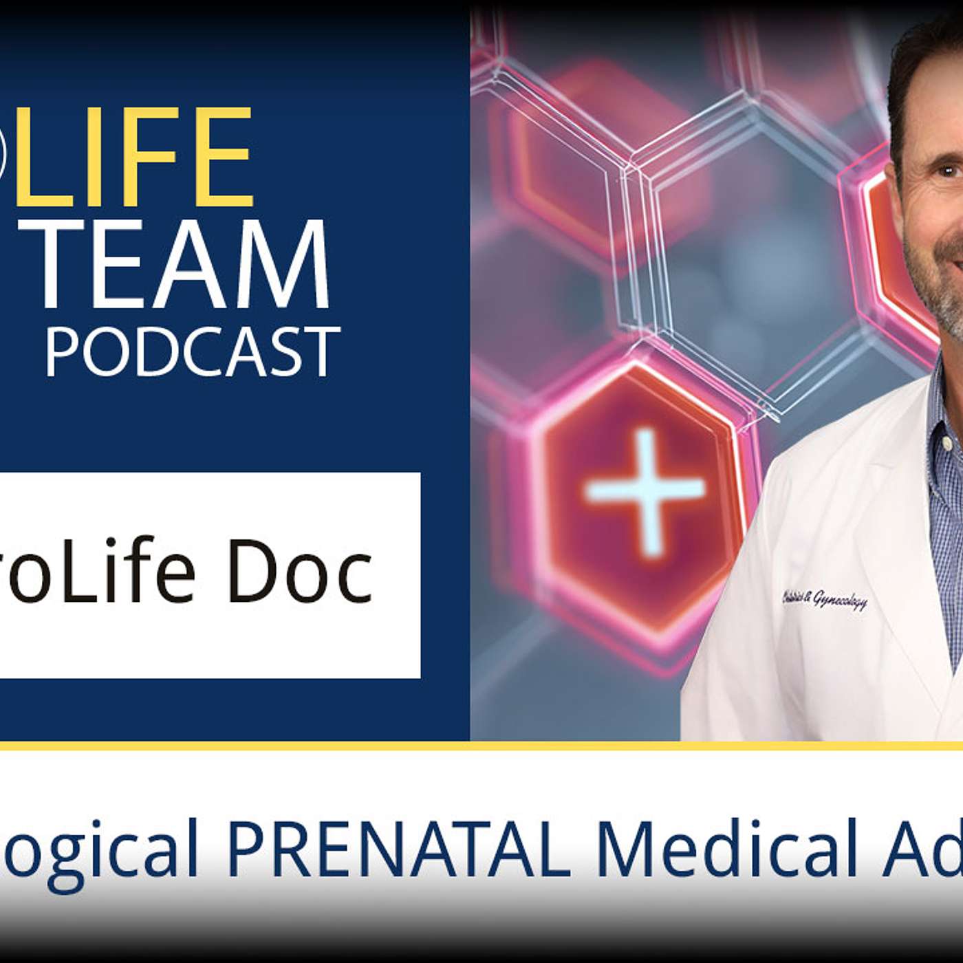 The ProLife Team Podcast 183 | Dr. William Lile with ProLifeDoc.org episode artwork