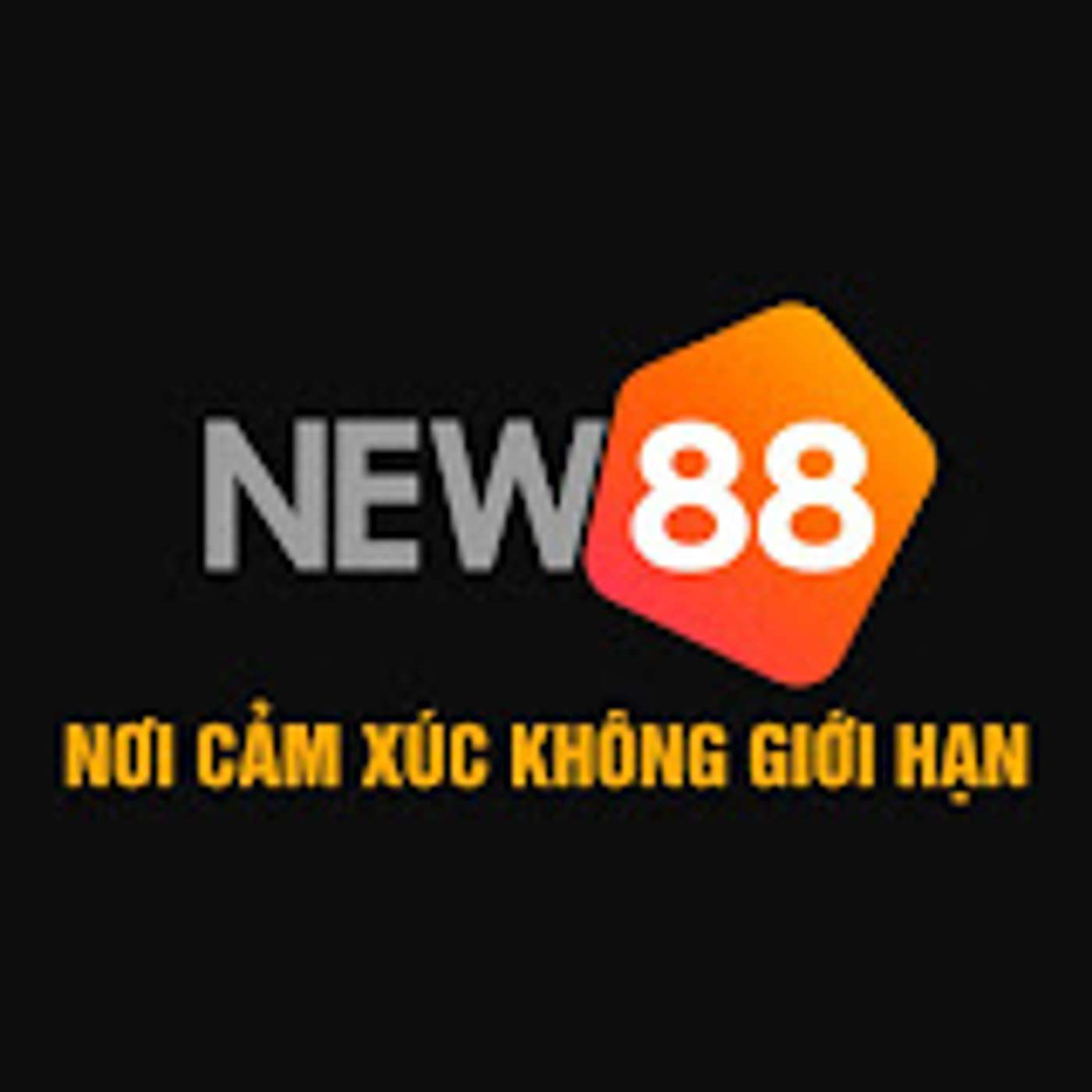 new88today