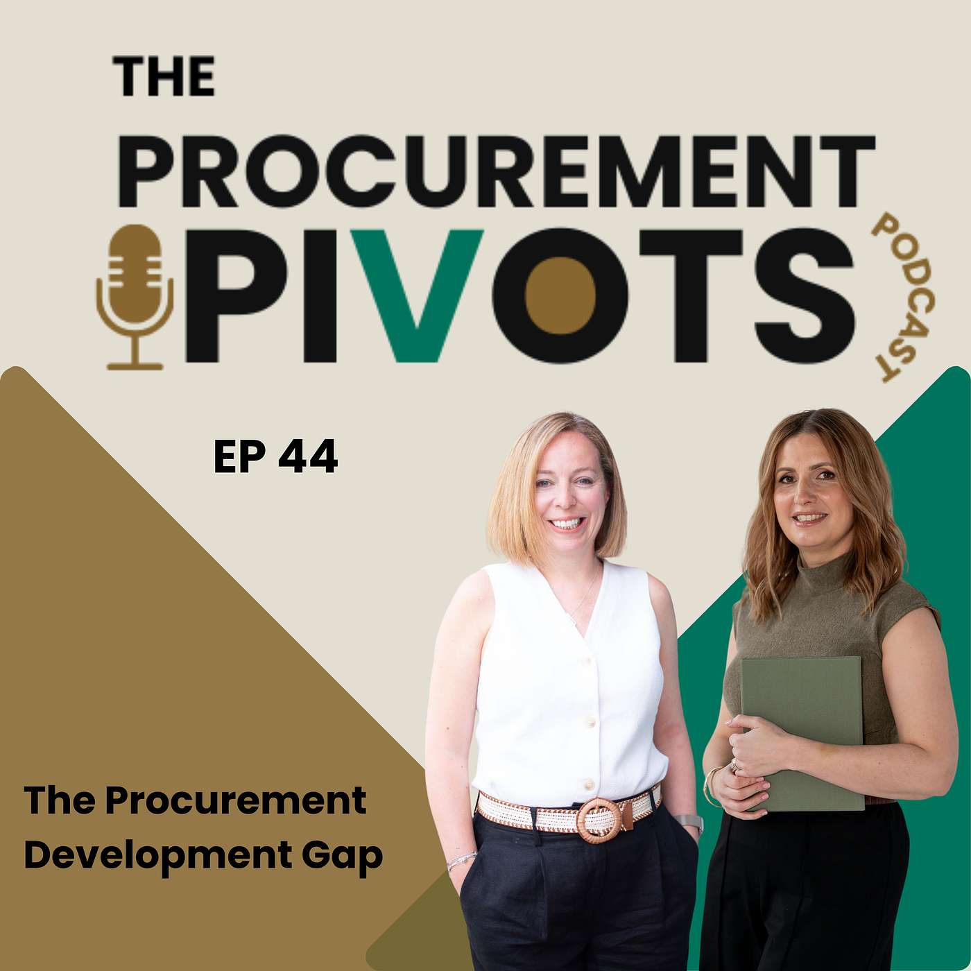 EP 44: The Procurement Development Gap and How to Close It episode artwork