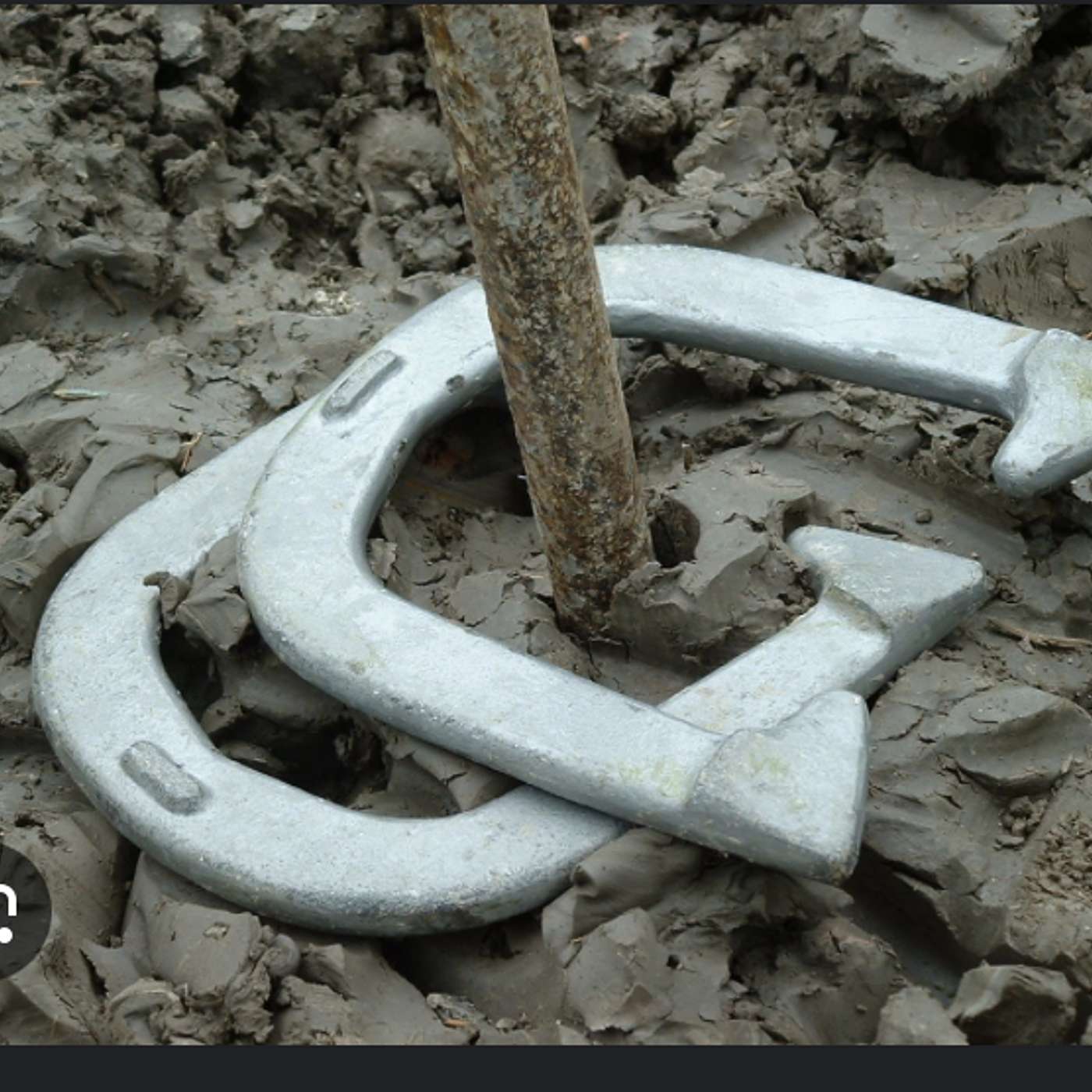 Jean & Mike Do The New York Times Crossword