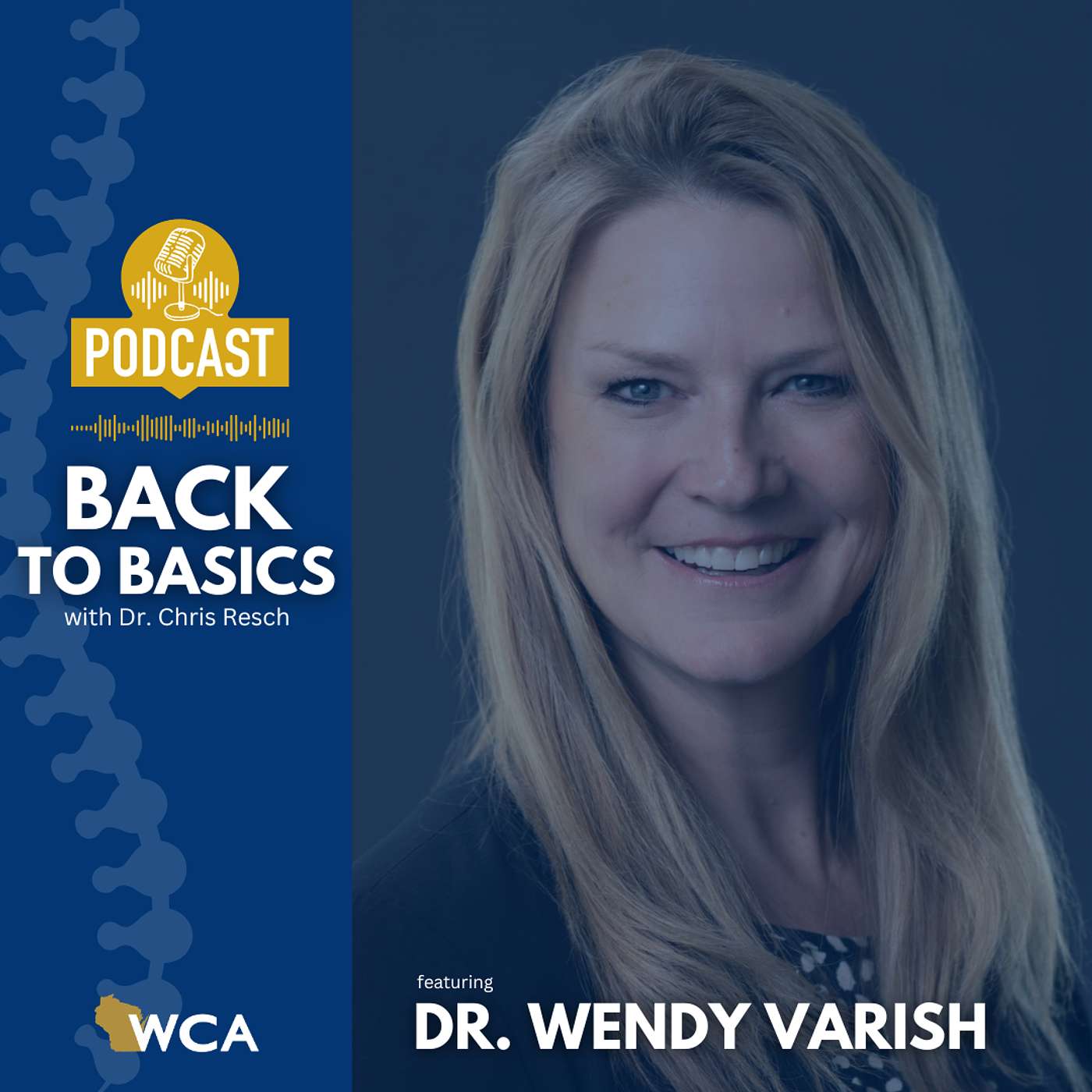 Dr. Wendy Varish: Defining Moments of a Chiropractic Career episode artwork