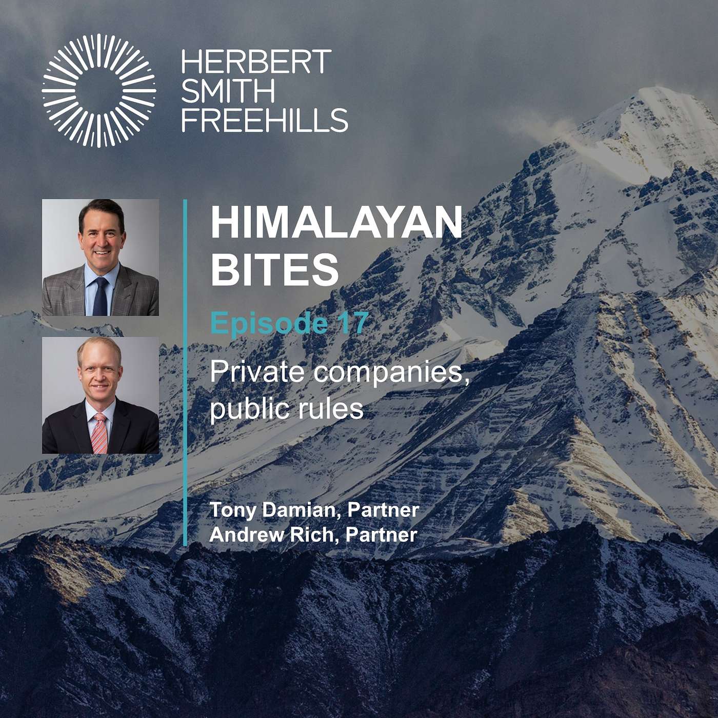 Himalayan Bites: EP17 - Private companies, public rules episode artwork