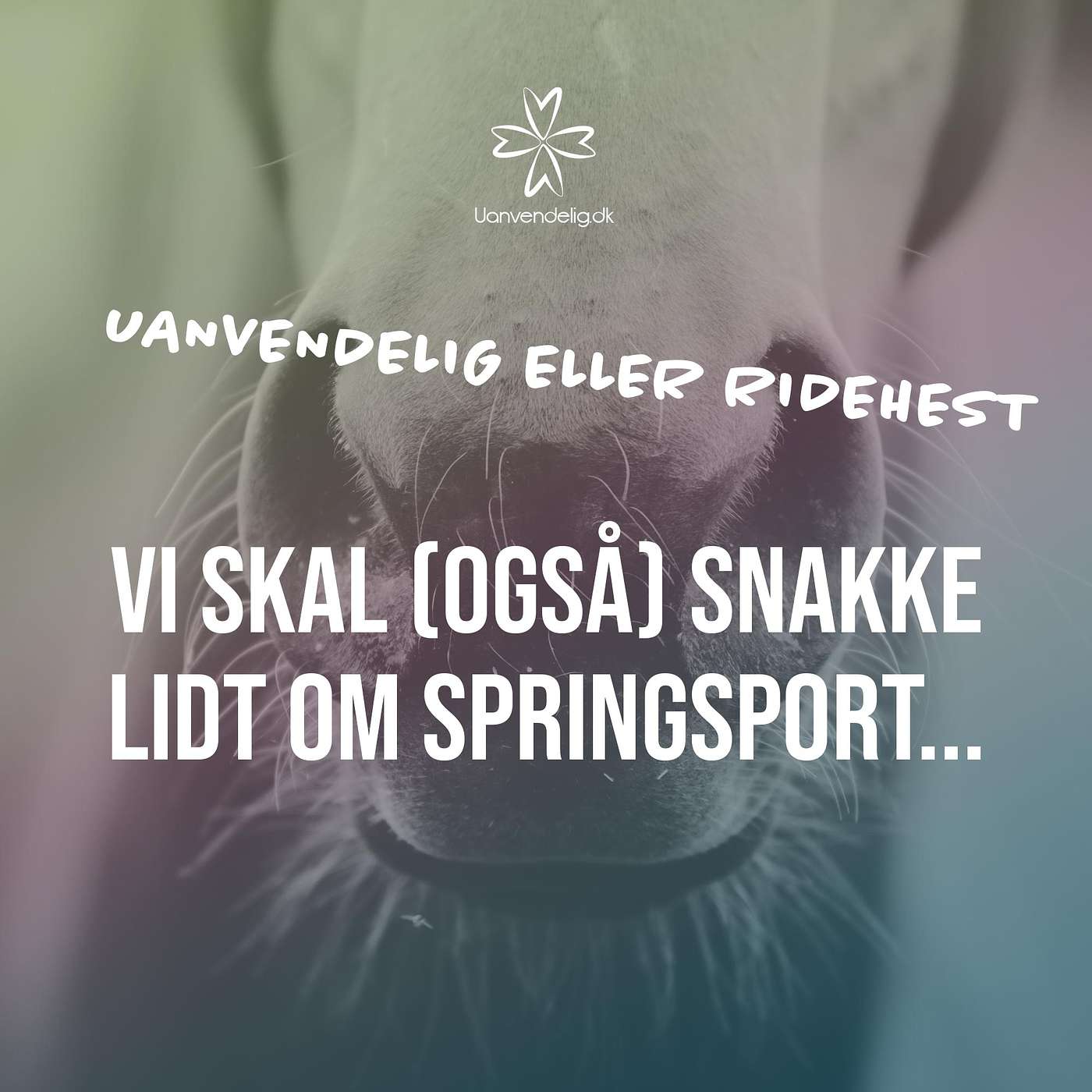 Vi skal (også) snakke lidt om springsporten Vi skal (også) snakke lidt om springsporten