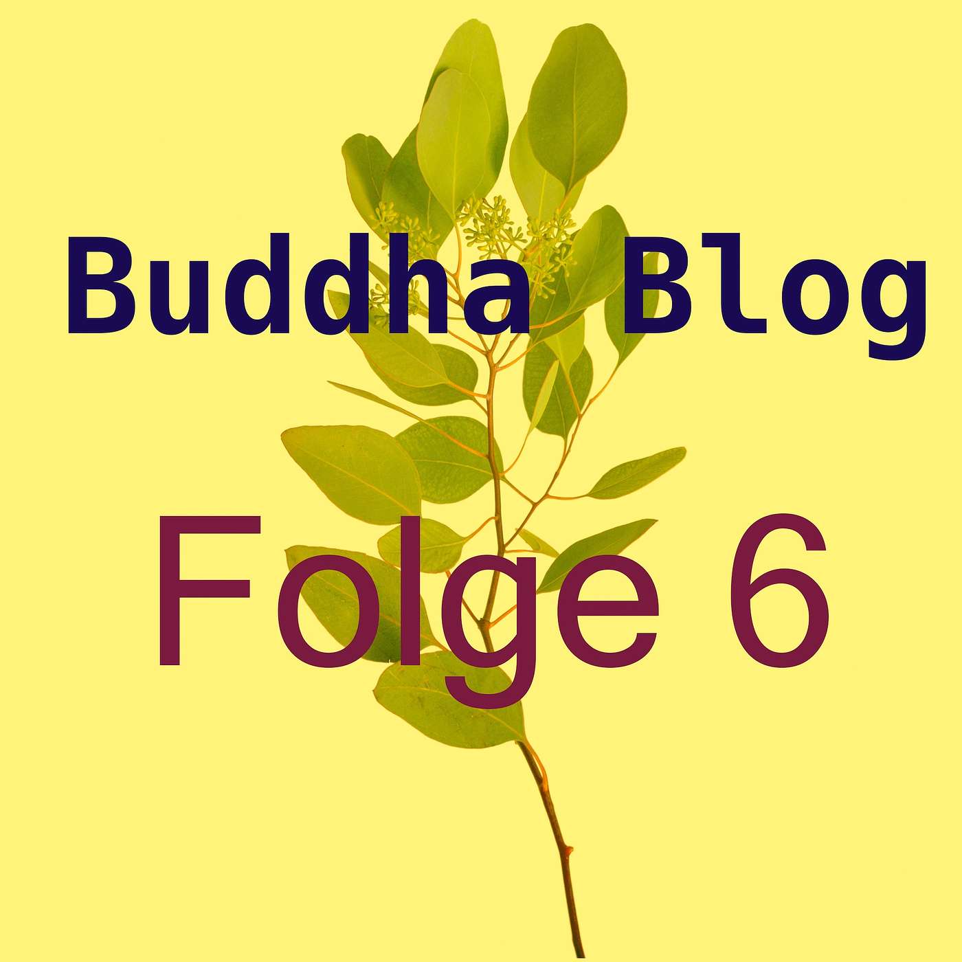 Buddha Blog - Buddhismus im Alltag