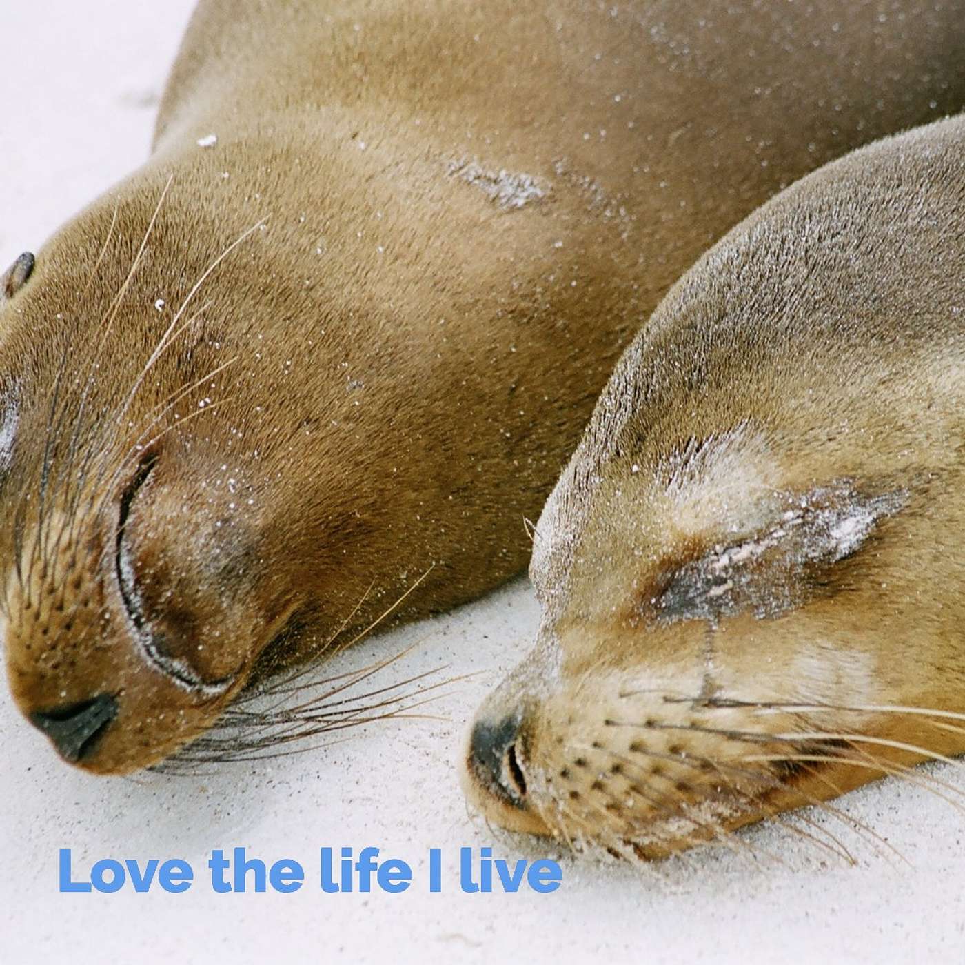 #135 Love the life I live episode artwork