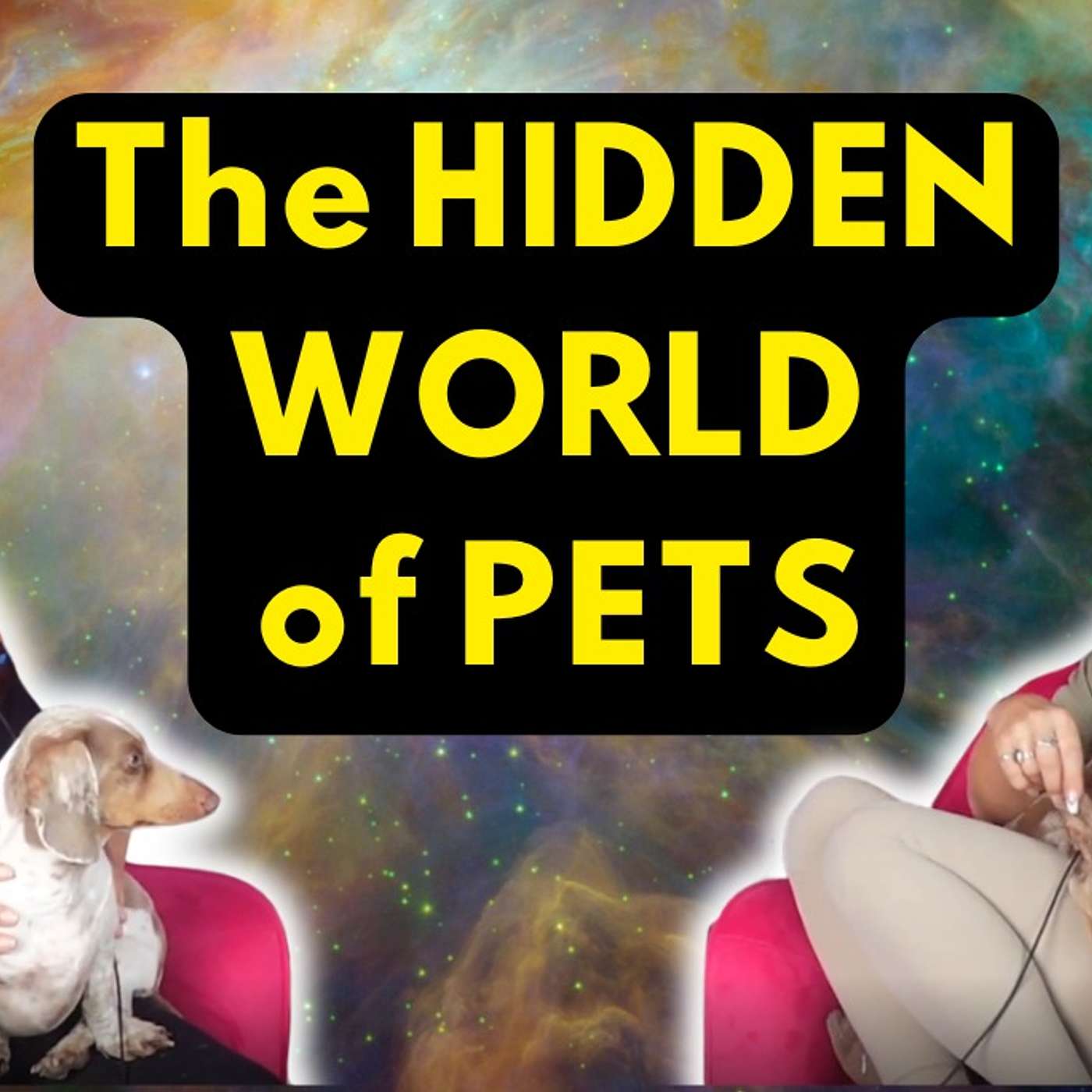 Ep 46: Your SOUL AGREEMENT With Your PET || How Connected Are They To Their Owners? episode artwork