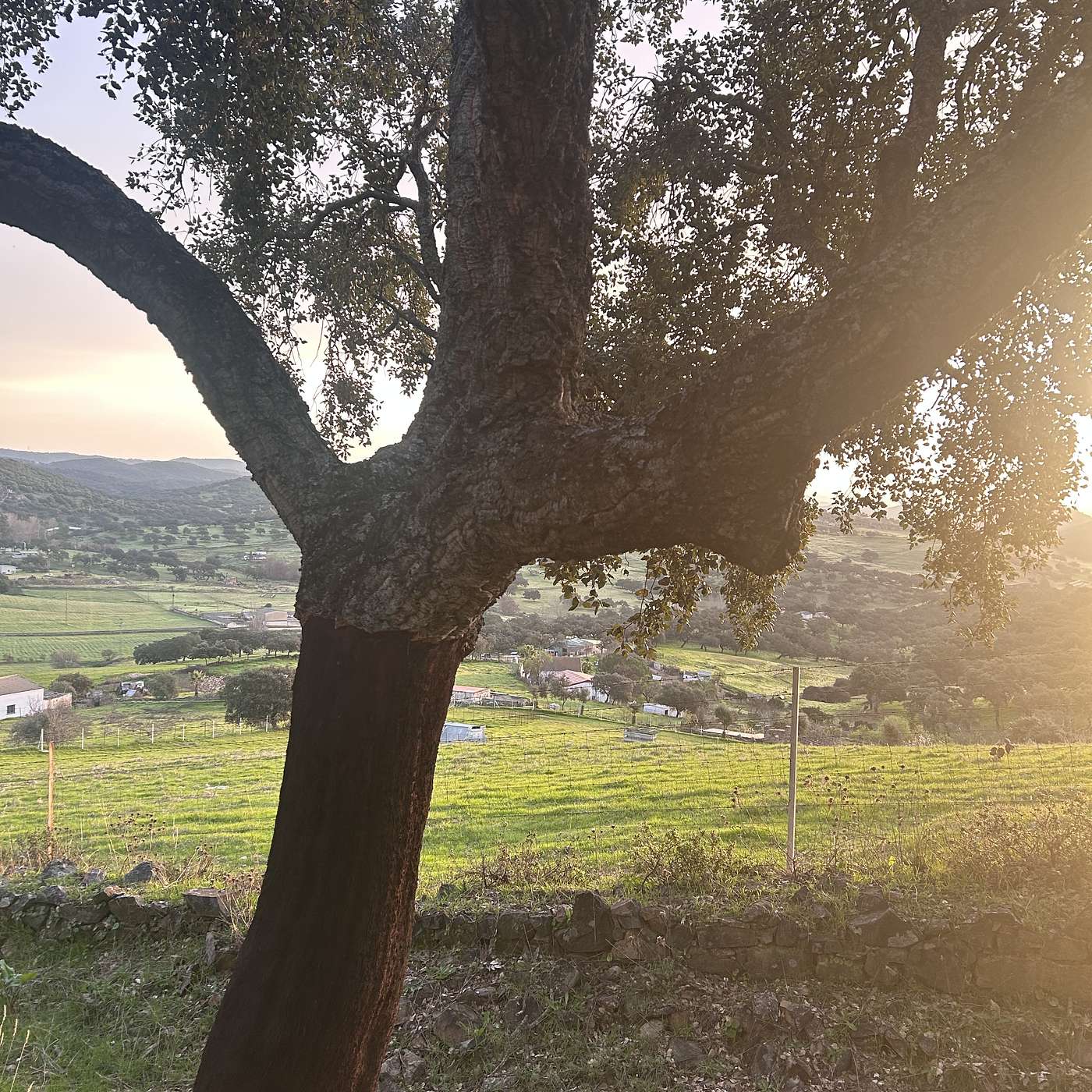 🇫🇷 Episode 24 - Séville