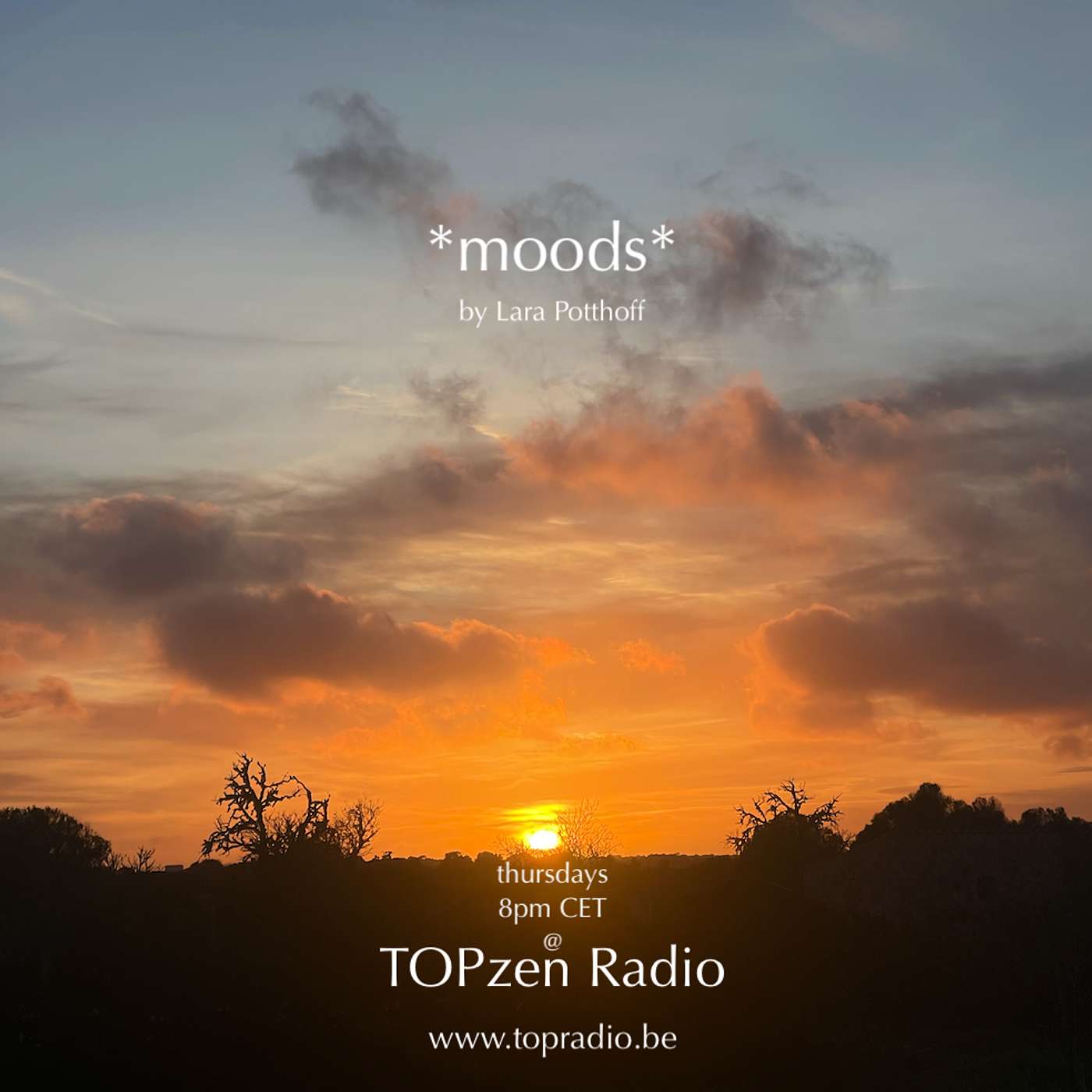 Moods by Lara Potthoff