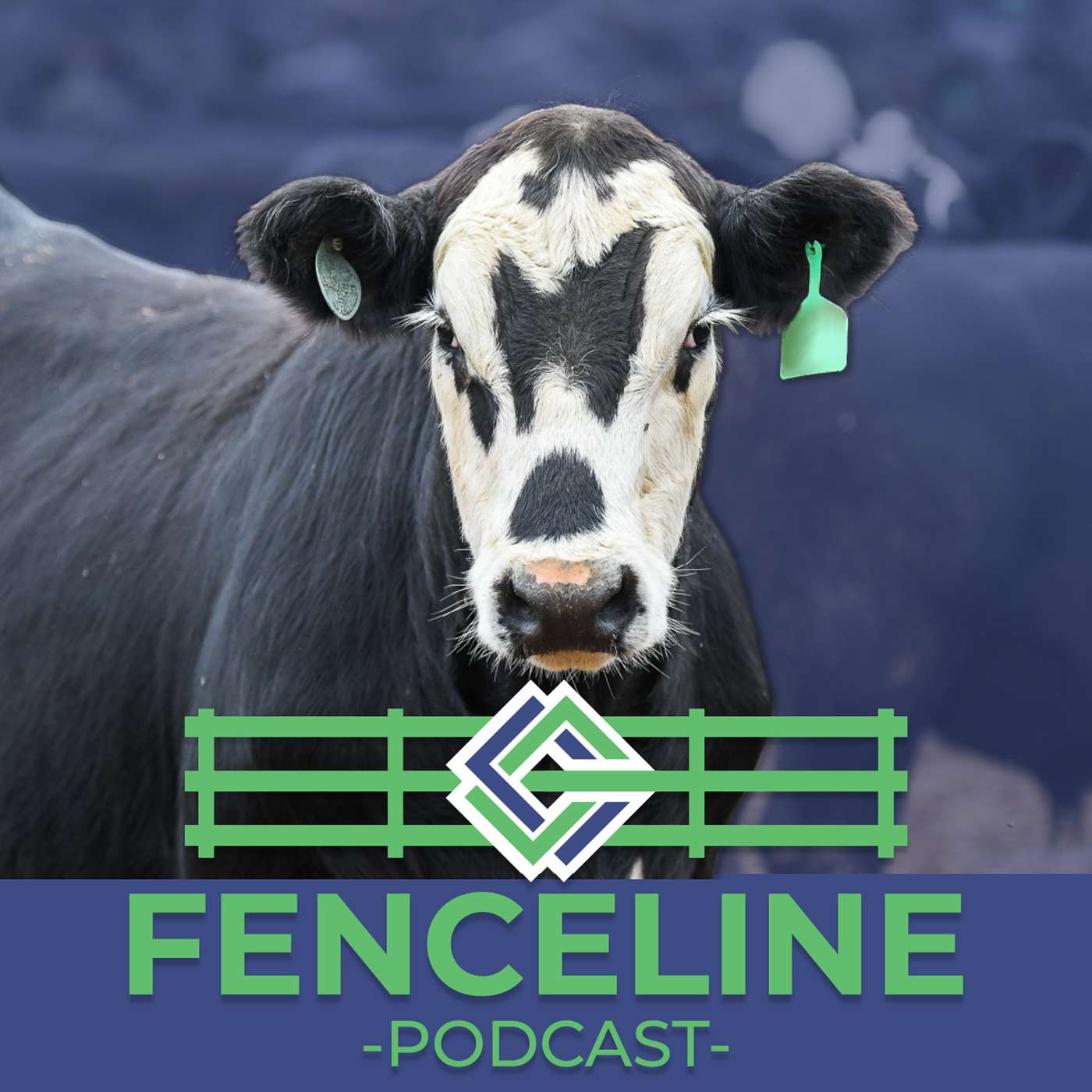 Financing Your Livestock Projects episode artwork