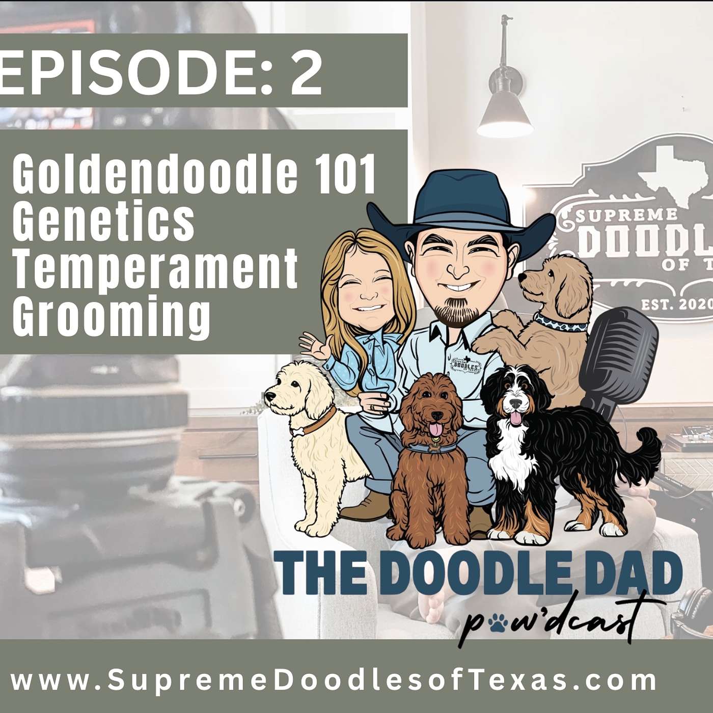 Episode 2: Goldendoodle 101 | Genetics | Temperament | Grooming episode artwork