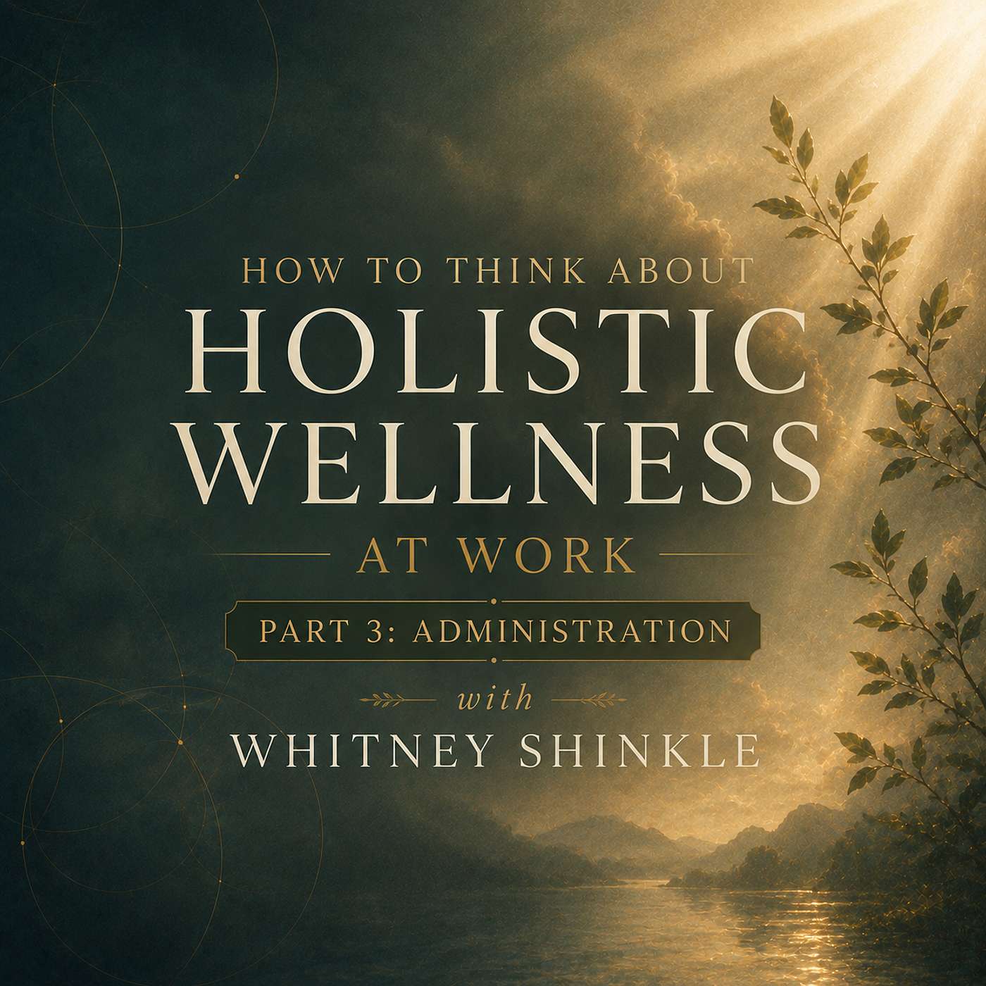 How to Think about Holistic Wellness at Work - Part 3: Administration | Whitney Shinkle episode artwork