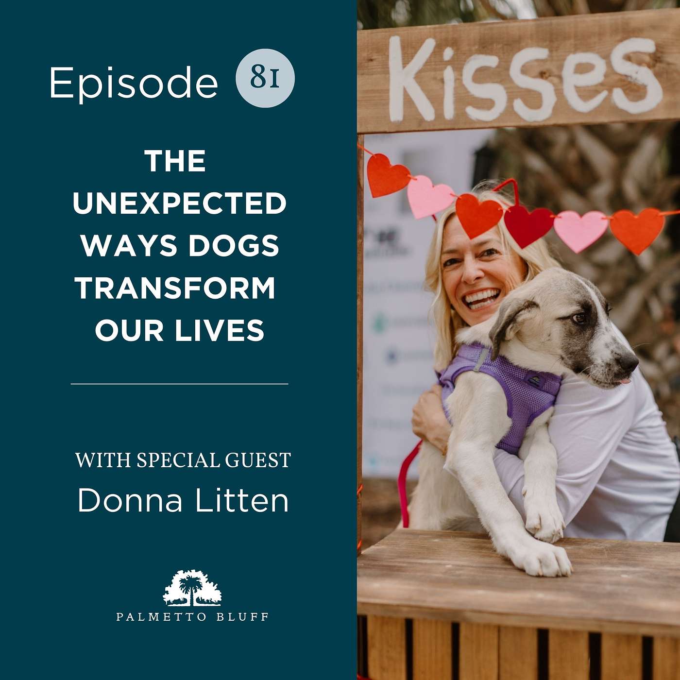 The Unexpected Ways Dogs Transform Our Lives | Donna Litten The Unexpected Ways Dogs Transform Our Lives | Donna Litten