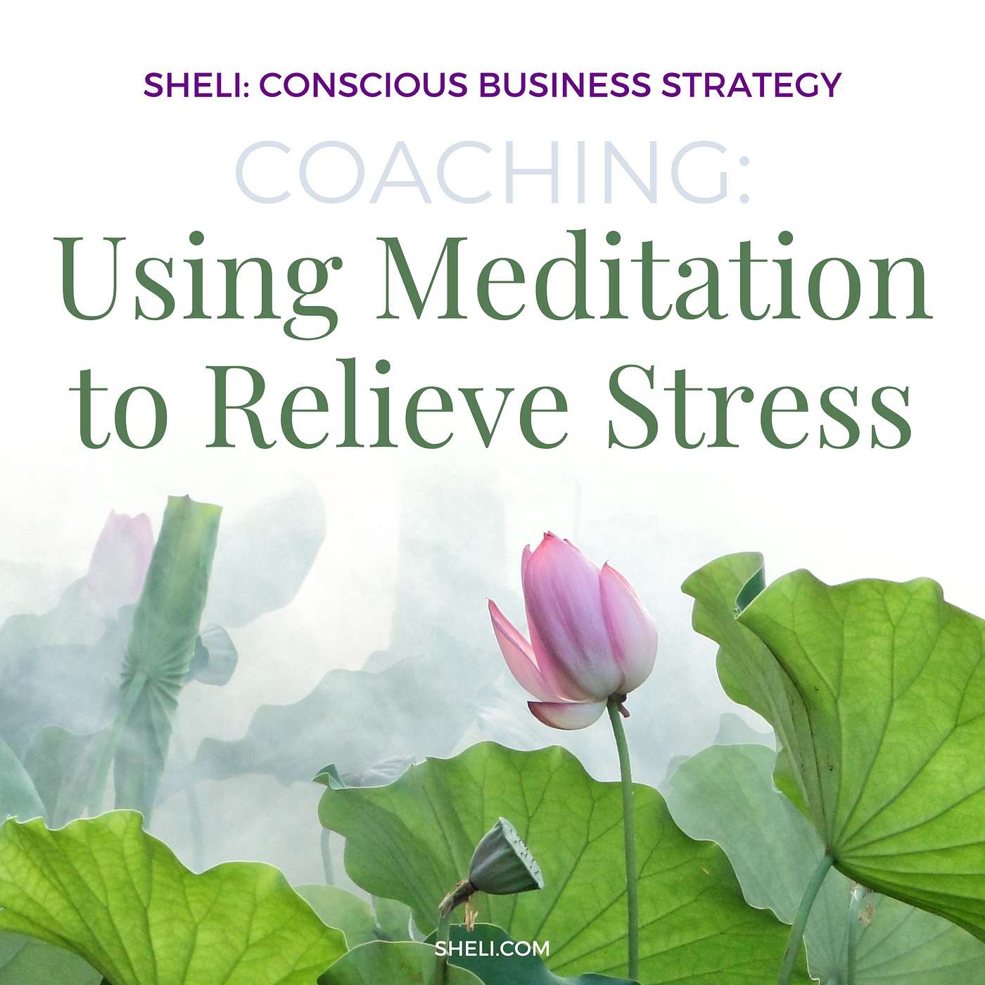 Coaching: Using Meditation to Relieve Stress