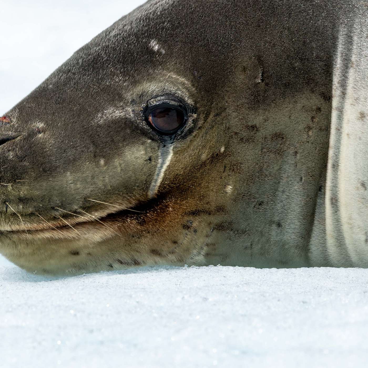 Adventures in Argentina & Tales from Tanzania