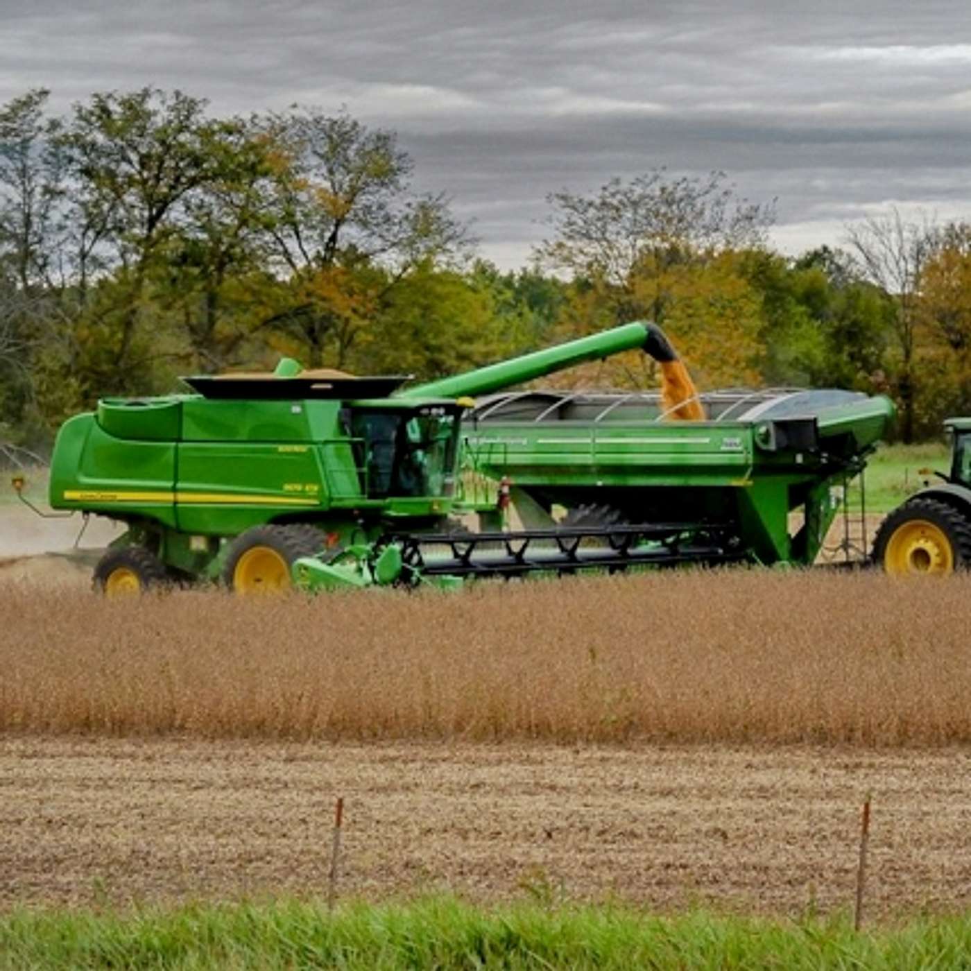 Epoisode 192: Corn - Prepping To Make The Most Use Of It