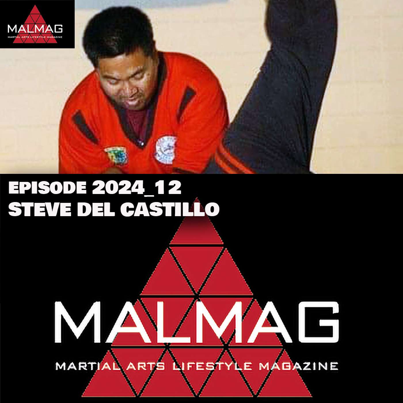The Martial Arts Lifestyle Podcast