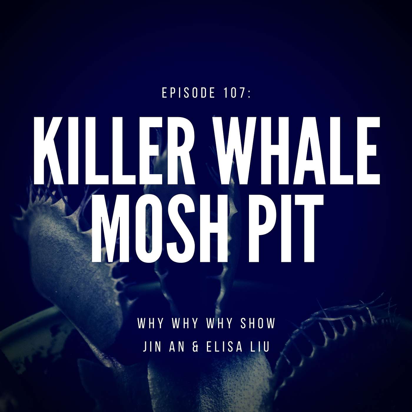 107: Killer Whale Mosh Pit