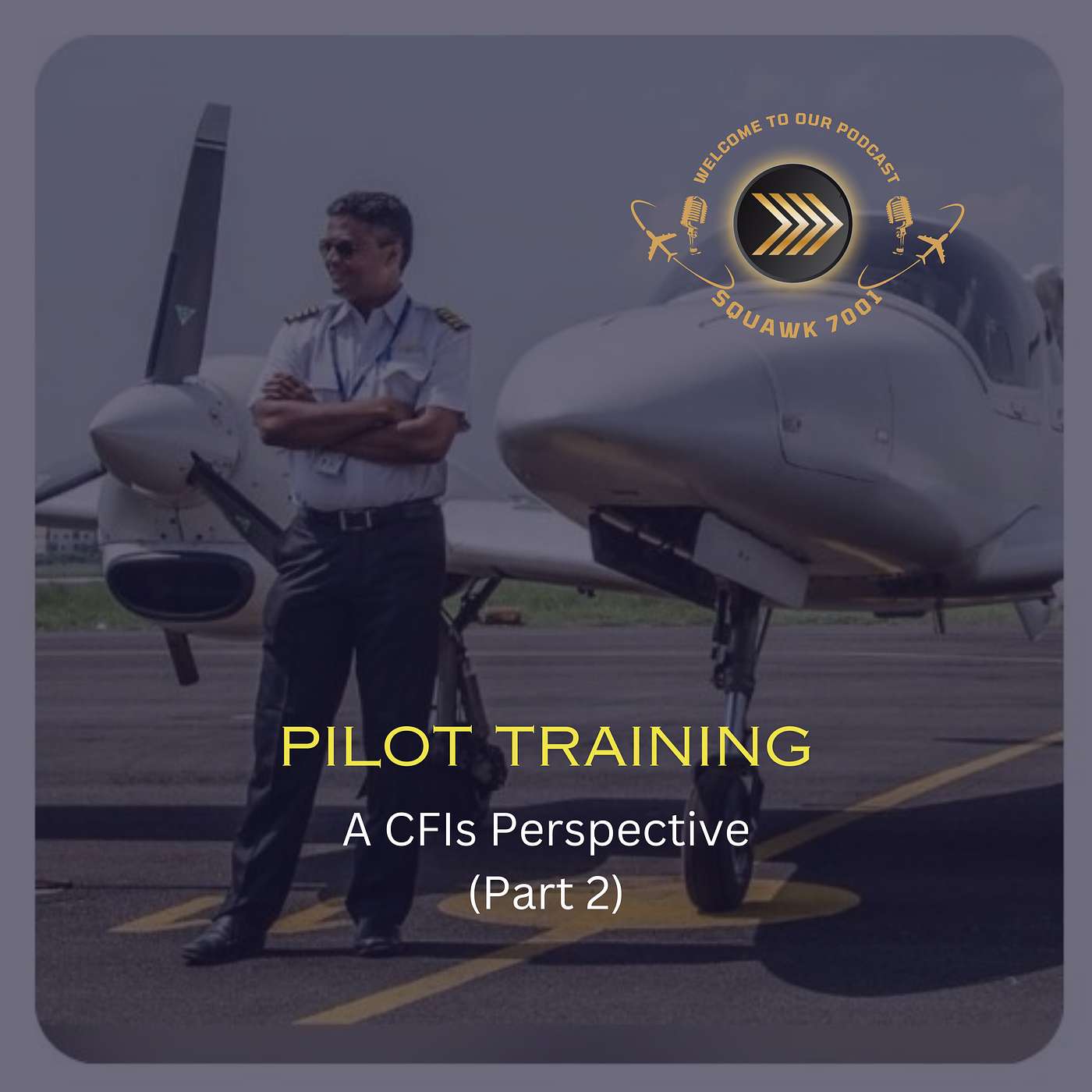Pilot Training in India - A CFIs Perspective (Part 2)