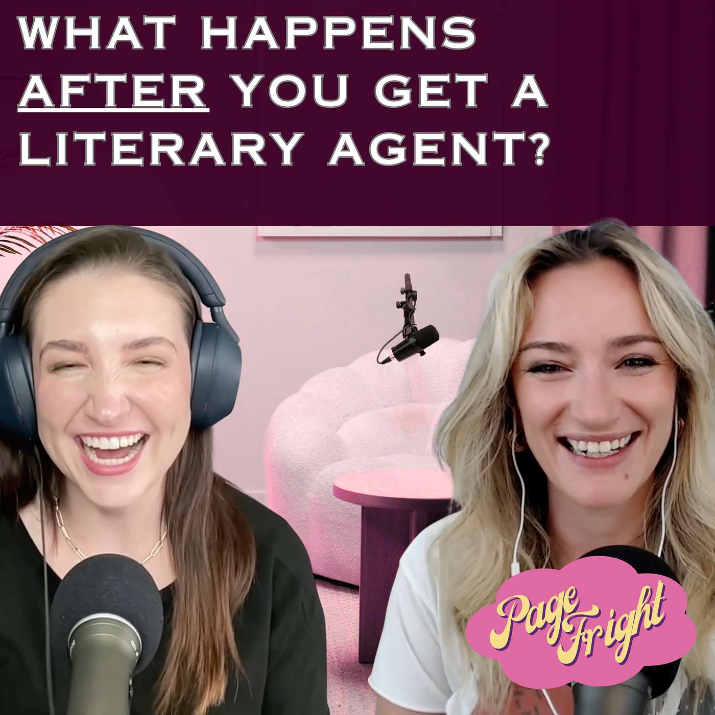 What Happens AFTER You Get a Literary Agent? episode artwork